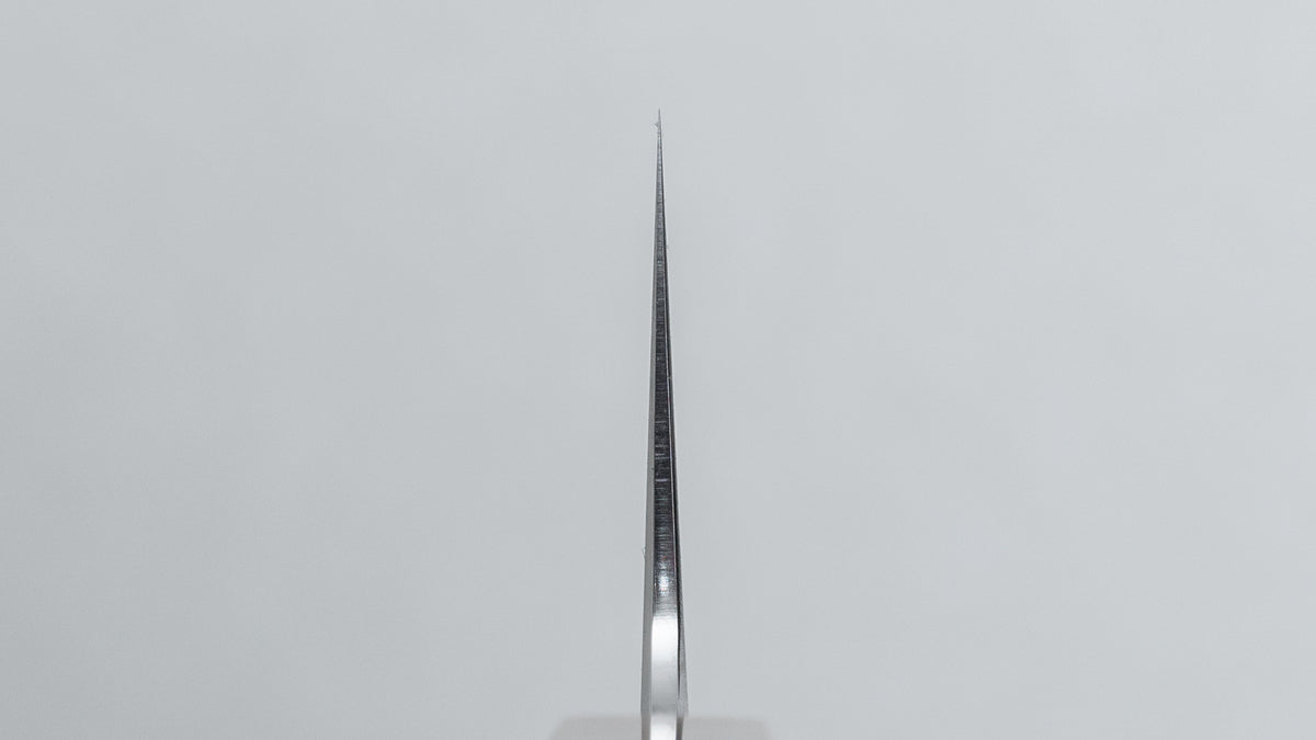 Tetsujin Silver #3 Kasumi Gyuto 210mm Lacewood Handle