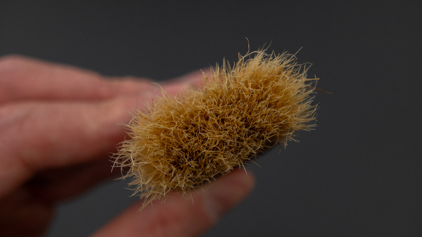 Yamatani Katsubako Brush