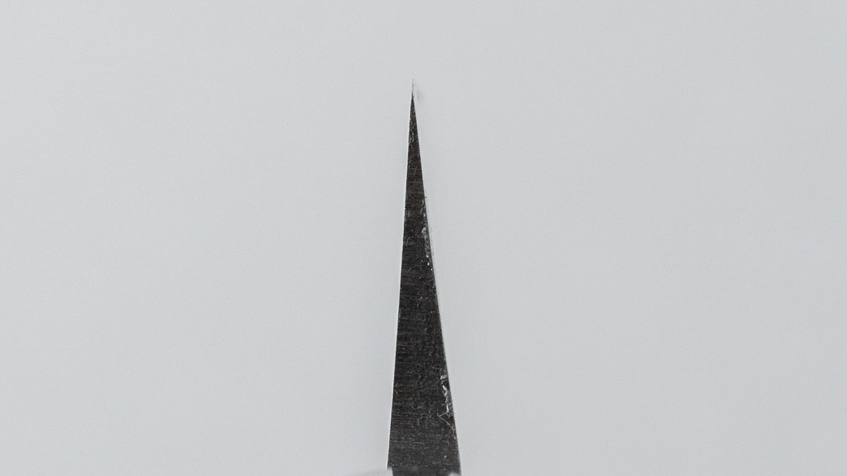 Hitohira Gorobei Blue #2 Left-Handed Yanagiba 300mm Ho Wood Handle (D-Shape) - HITOHIRA
