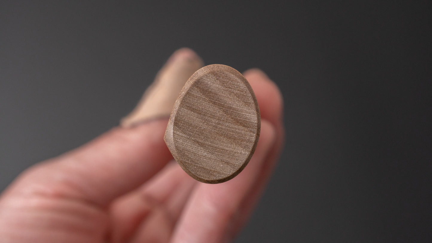 Taihei Ho D-Shape Handle (Yanagiba 210mm) - HITOHIRA