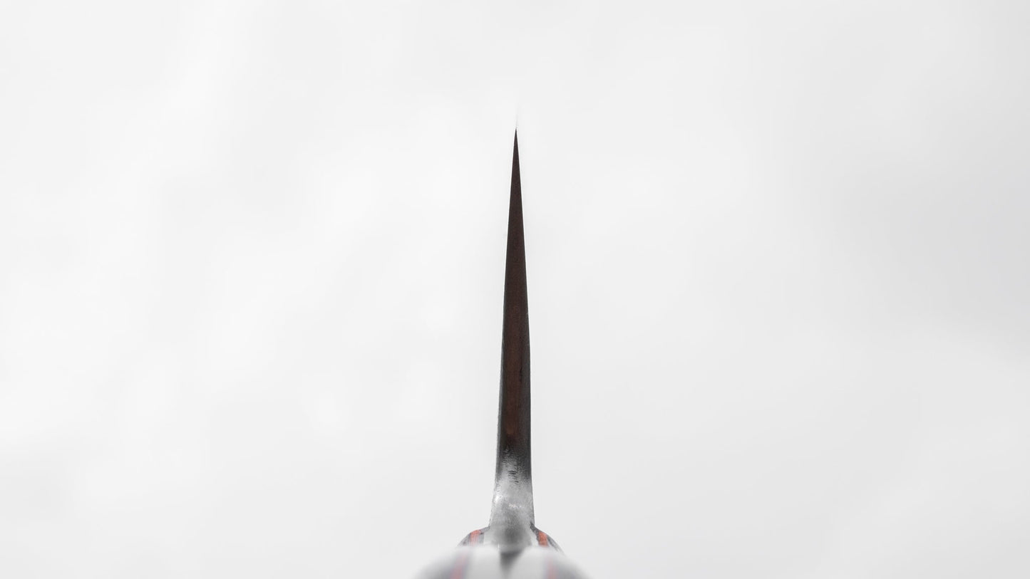 Jiro Tsuchime Yo Gyuto 240mm Tagayasan Handle (#027) | HITOHIRA