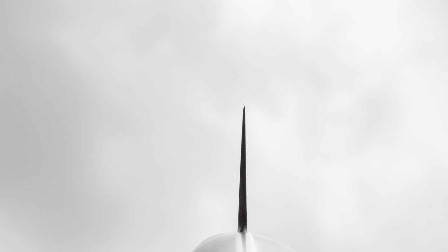 Hitohira Mumei Stainless Cake Knife 300mm Pakka Handle | HITOHIRA