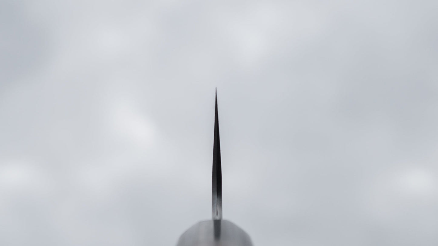 Hitohira Togashi Blue #1 Stainless Clad Gyuto 240mm Walnut Handle | HITOHIRA