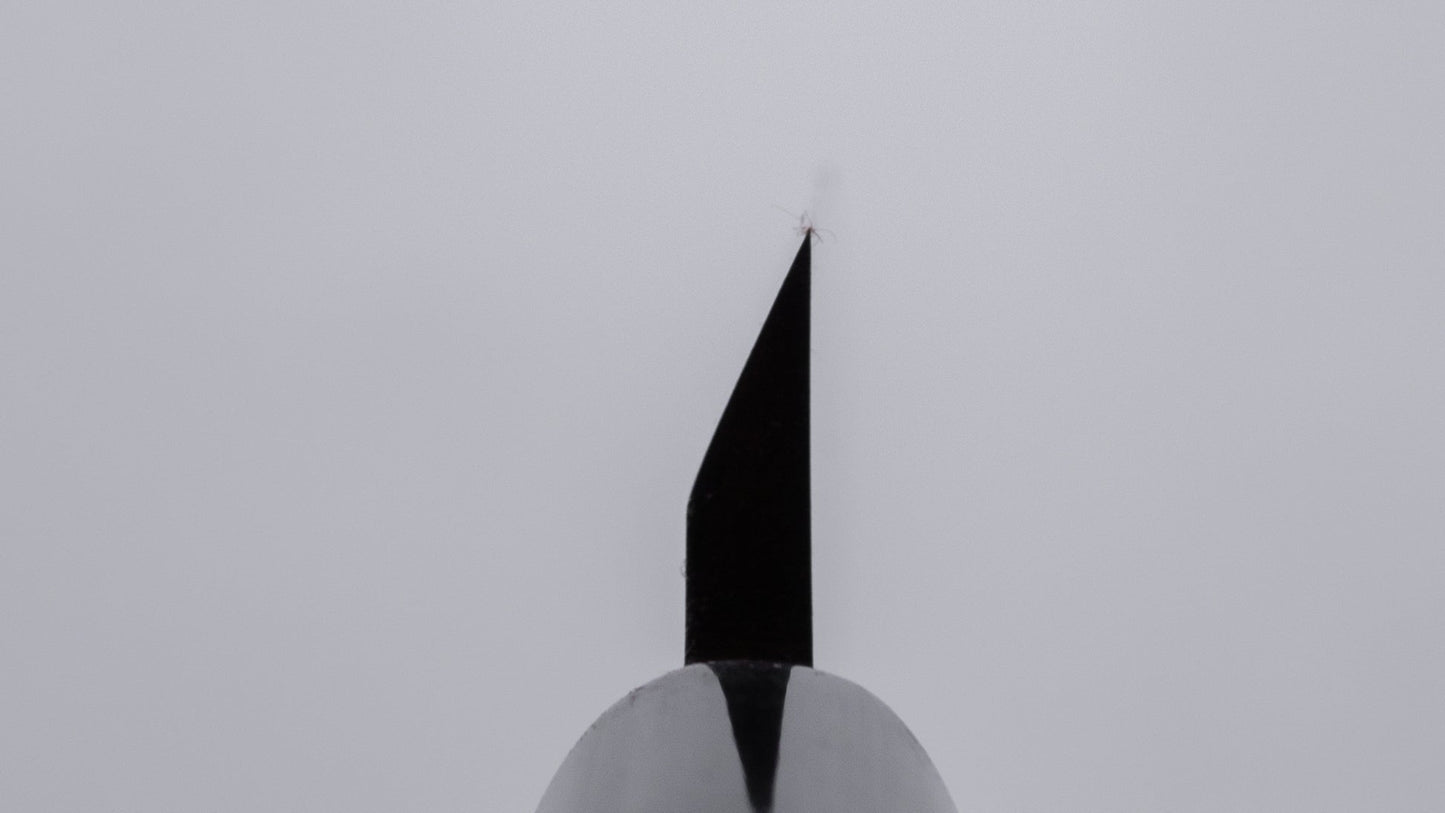 Morihei Hisamoto Vintage White Steel Saki Deba 105mm Ho Wood Handle | HITOHIRA