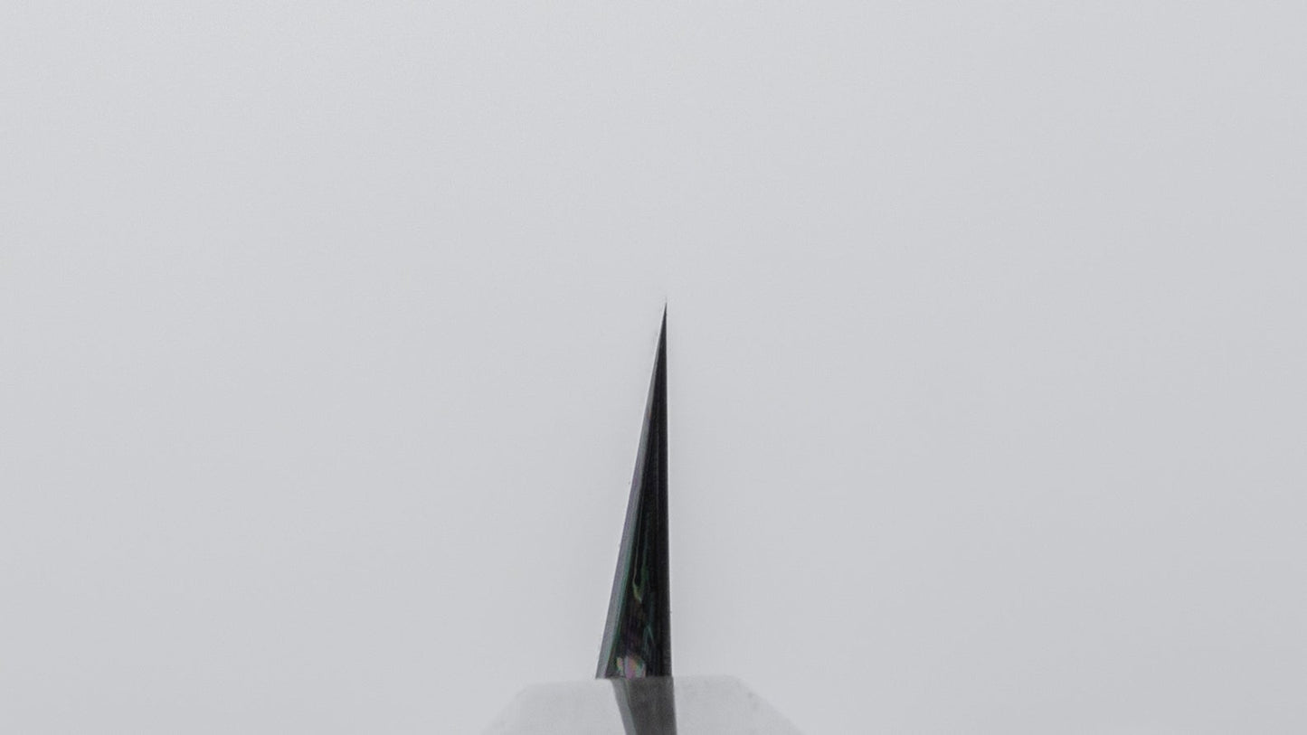 Hitohira Tanaka Blue #1 Sakimaru Takobiki 270mm Ebony Handle (Mirror Polished/ Saya) | HITOHIRA