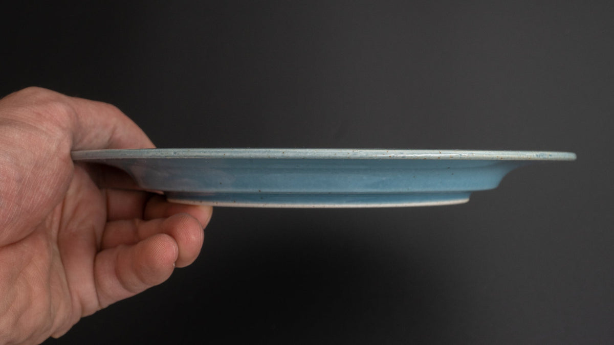 HI-CONDITION Lifestyle #005 Plate (HI-CON Blue) - HITOHIRA