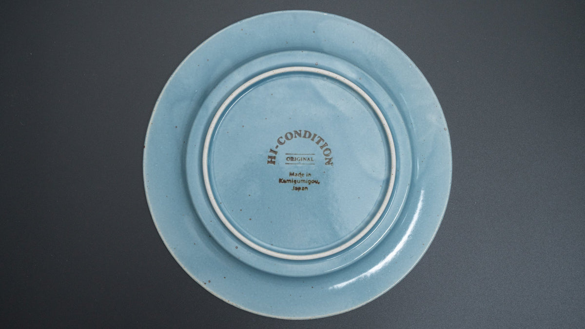 HI-CONDITION Lifestyle #005 Plate (HI-CON Blue) - HITOHIRA
