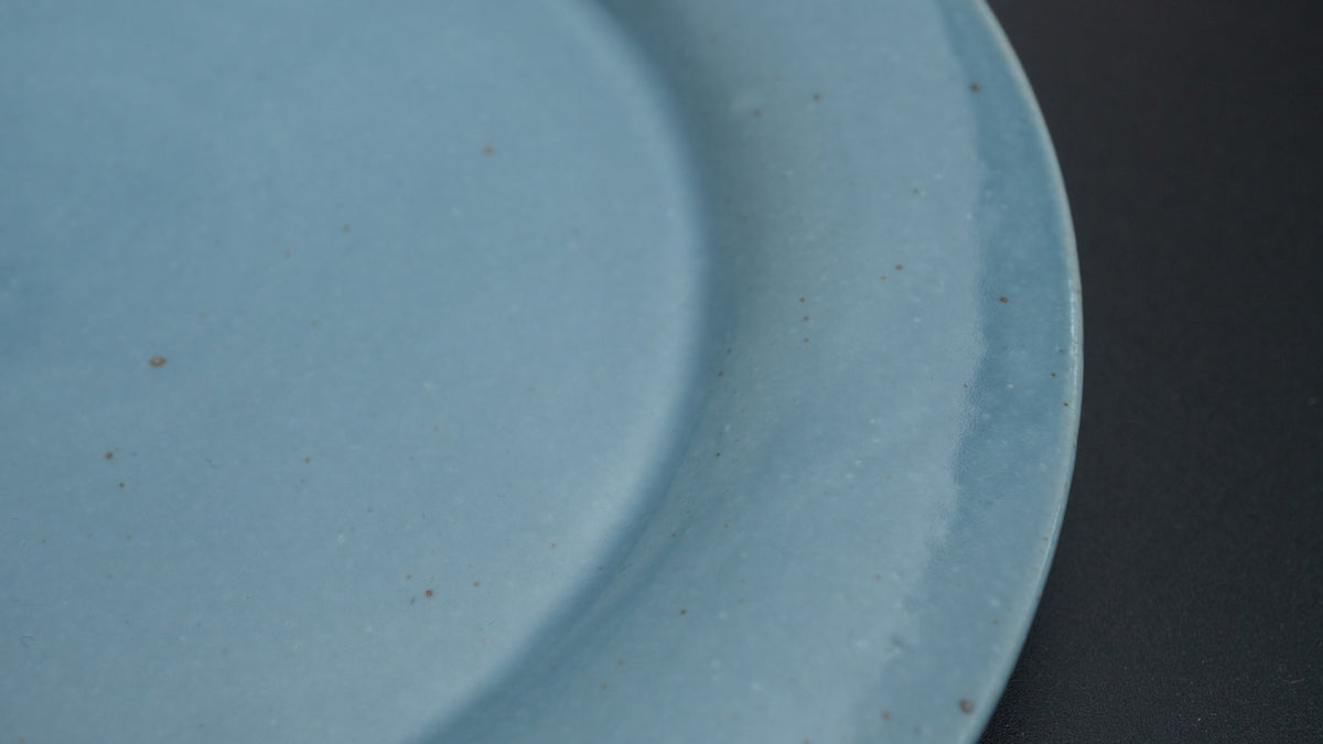HI-CONDITION Lifestyle #005 Plate (HI-CON Blue) - HITOHIRA