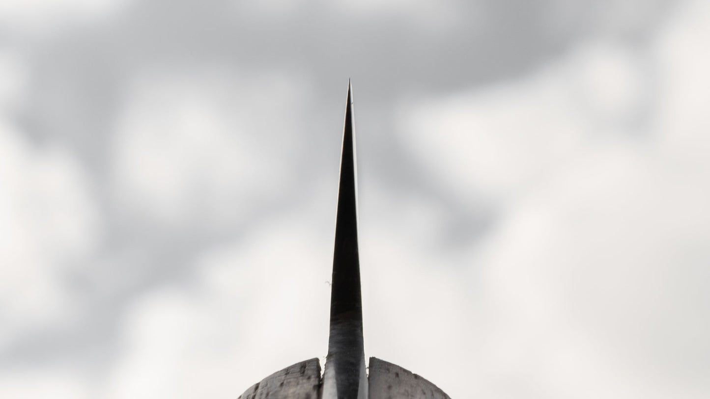 Kogetsu NOS Carbon Honesuki Kaku 140mm Rosewood Handle | HITOHIRA