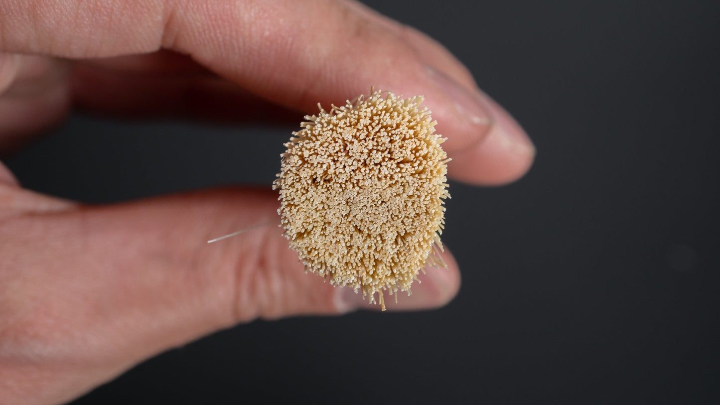 Kanaya Kitchen Brush (Tampico) - HITOHIRA