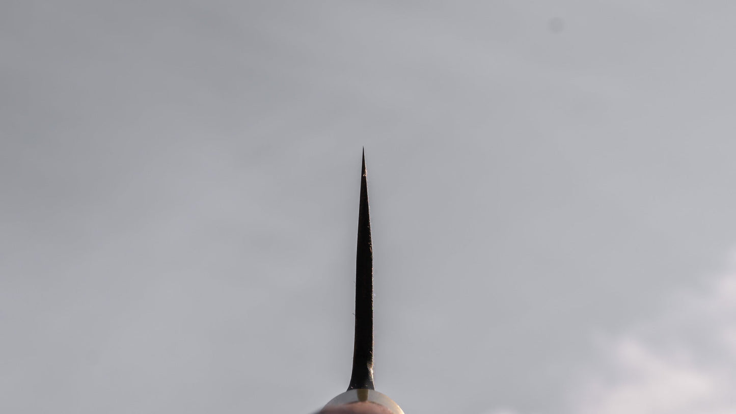 Daitoku Blue #2 Santoku 165mm Walnut Handle - HITOHIRA