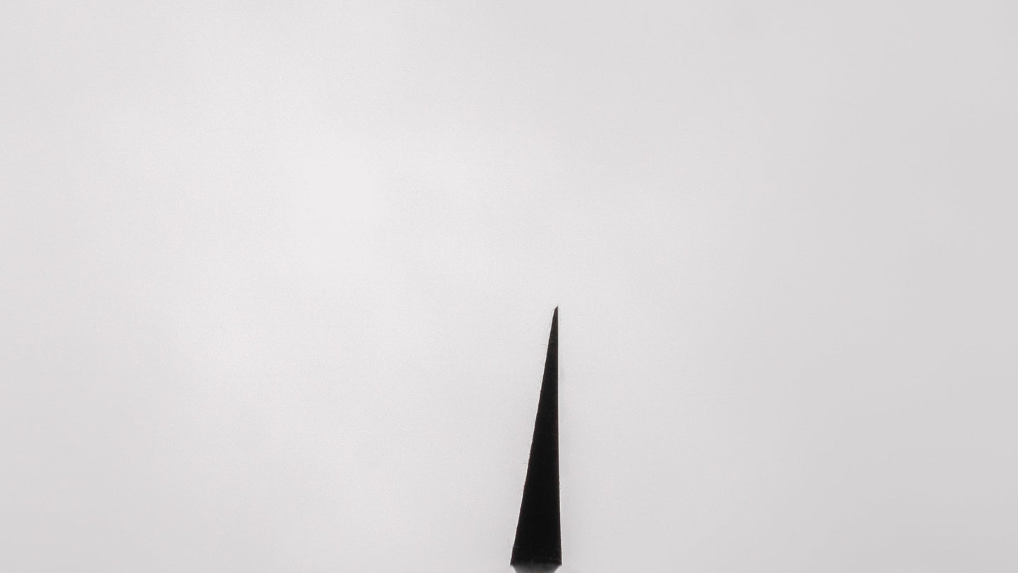 Mumei NOS Blue #2 Yanagiba 240mm Ho Wood Handle | HITOHIRA