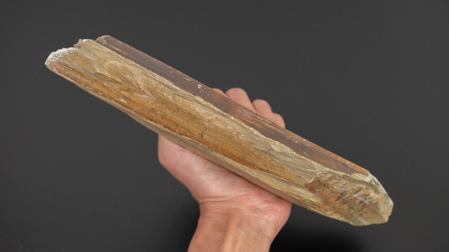 Morihei Wakasa Natural Stone Large Koppa (No.041) | HITOHIRA