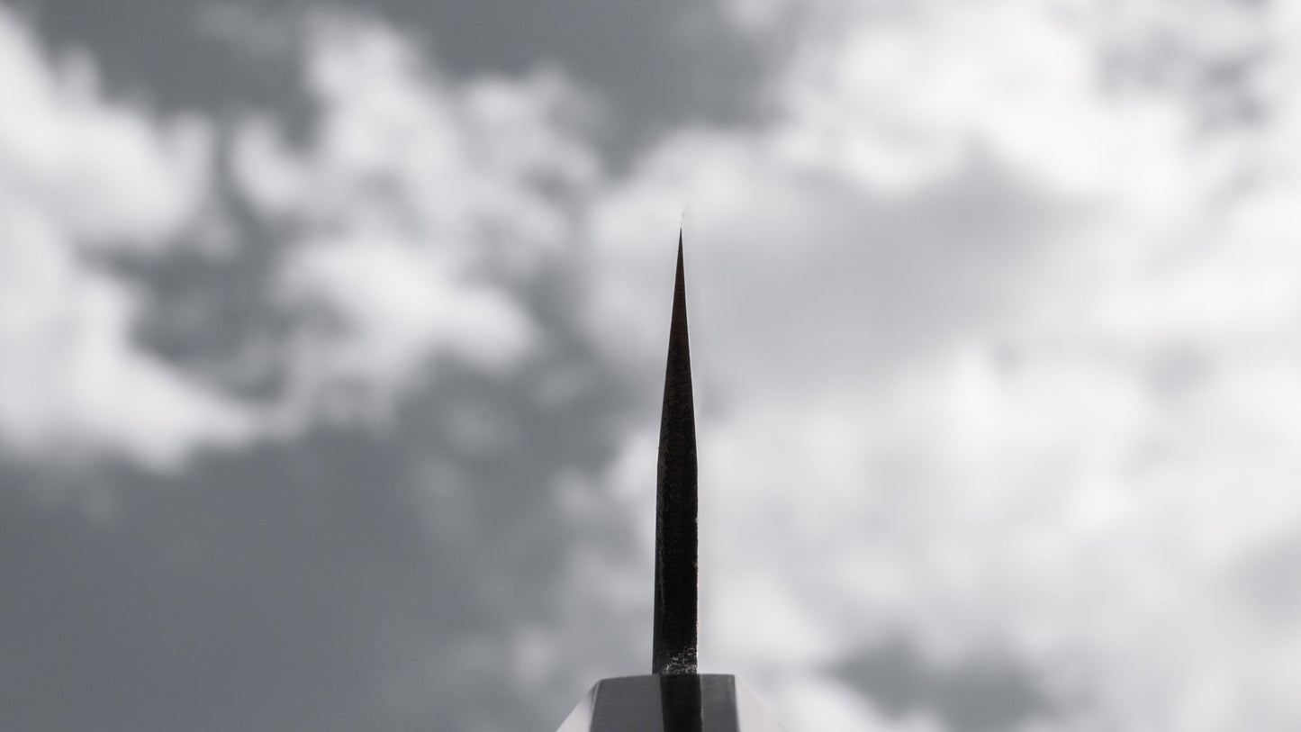 Hitohira Togashi Blue #2 Kurouchi Gyuto 210mm Ho Wood Handle | HITOHIRA