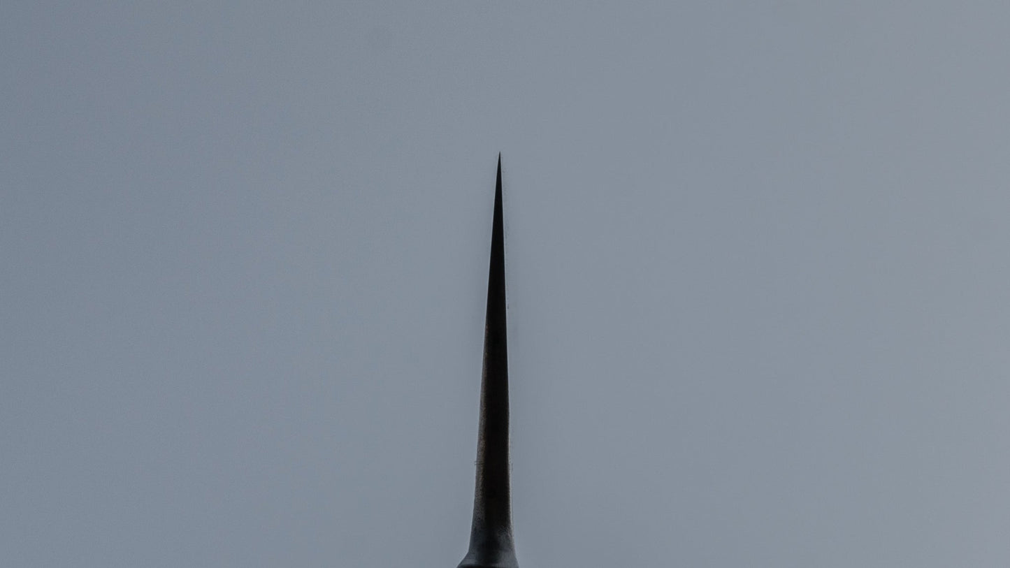 Jiro Tsuchime Wa Gyuto 210mm (#015/ No handle) | HITOHIRA