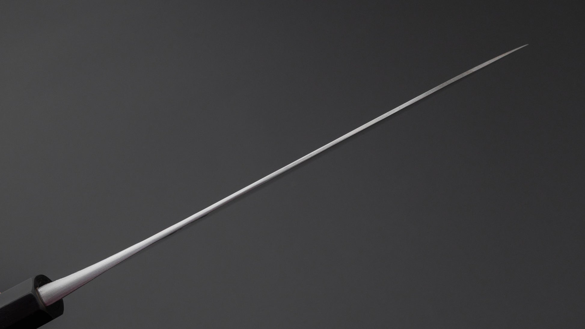 Jiro Tsuchime Wa Gyuto 210mm Taihei Tagayasan Handle (#752)