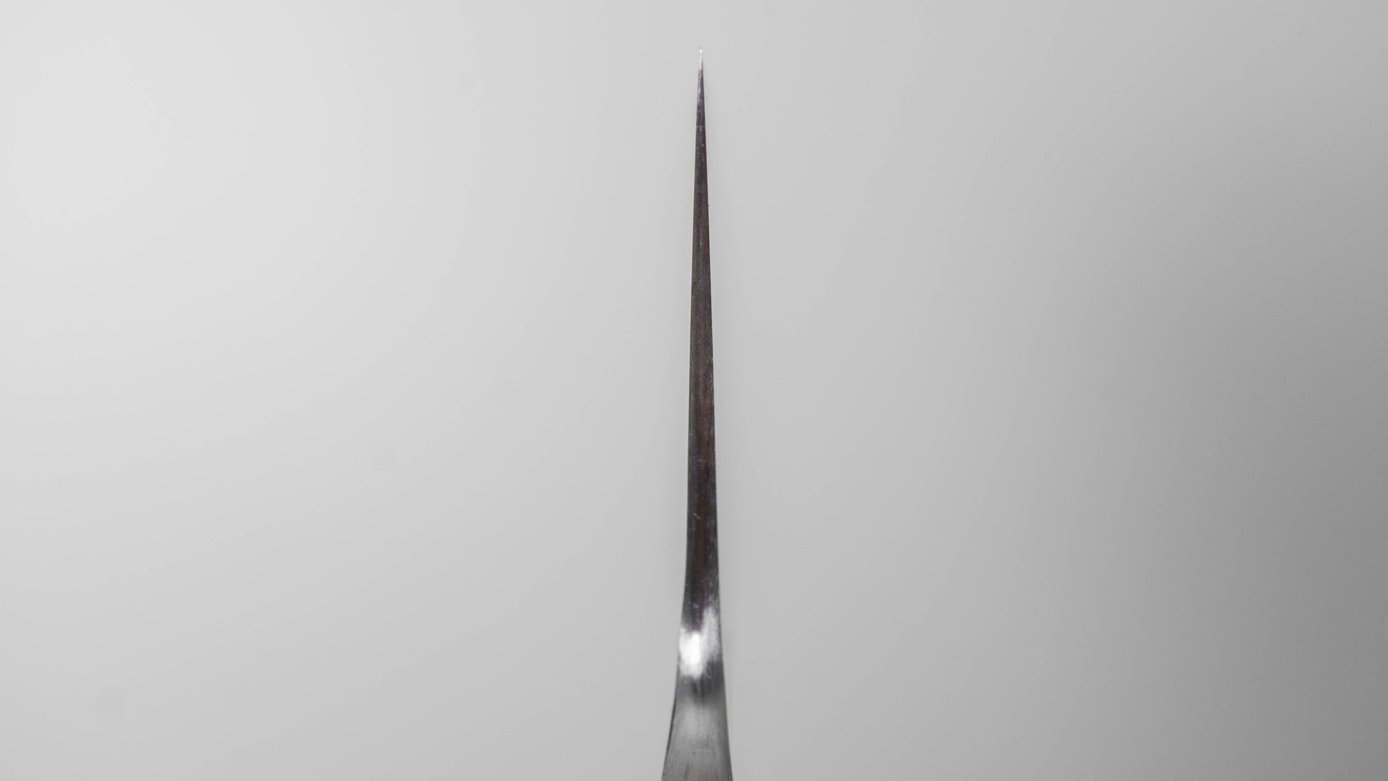 Jiro Tsuchime Wa Gyuto 210mm Taihei Tagayasan Handle (#752)