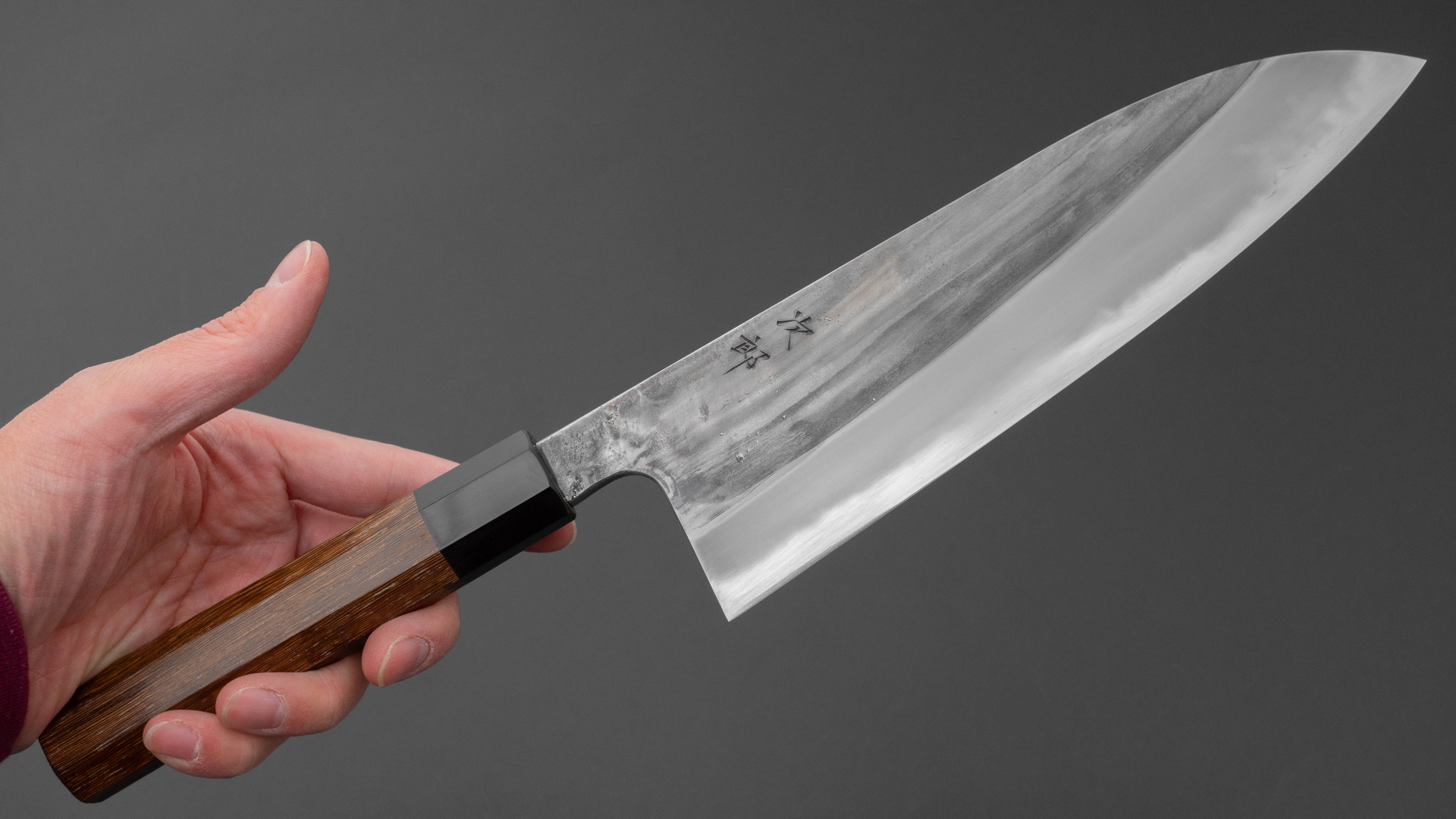 Jiro Tsuchime Wa Gyuto 210mm Taihei Tagayasan Handle (#753) – HITOHIRA