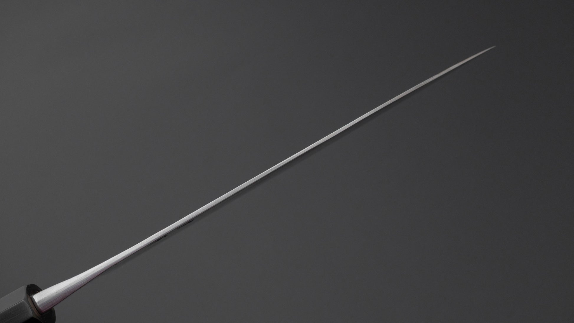 Jiro Tsuchime Wa Gyuto 210mm Taihei Tagayasan Handle (#753)