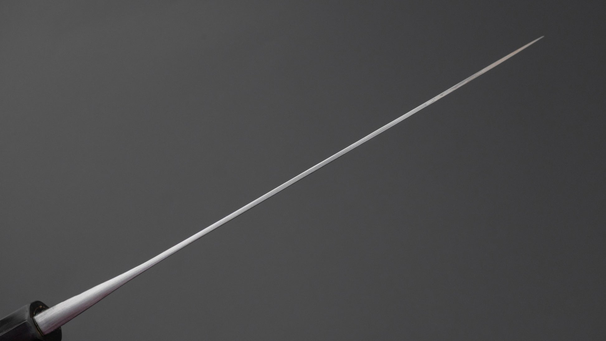 Jiro Tsuchime Wa Gyuto 210mm Taihei Tagayasan Handle (#754)