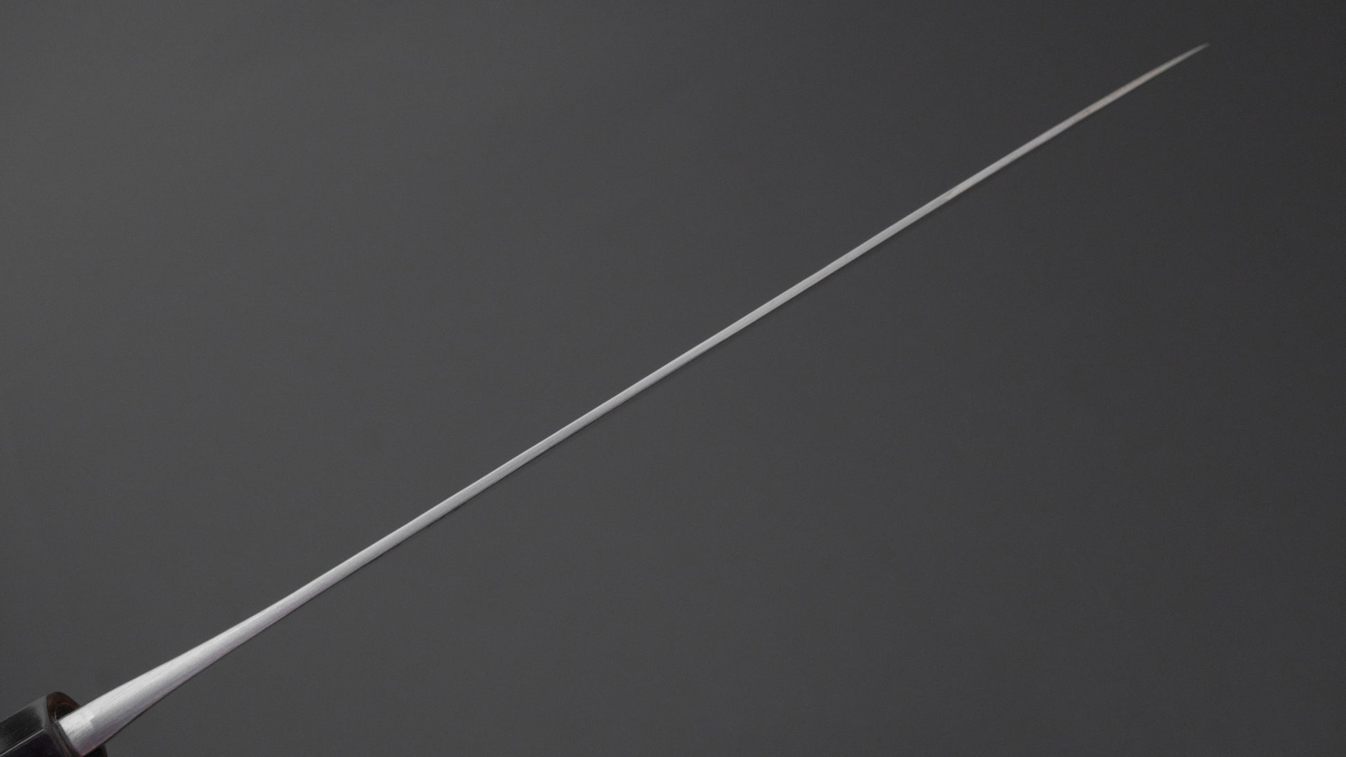 Jiro Tsuchime Wa Gyuto 255mm Taihei Tagayasan Handle (#756)