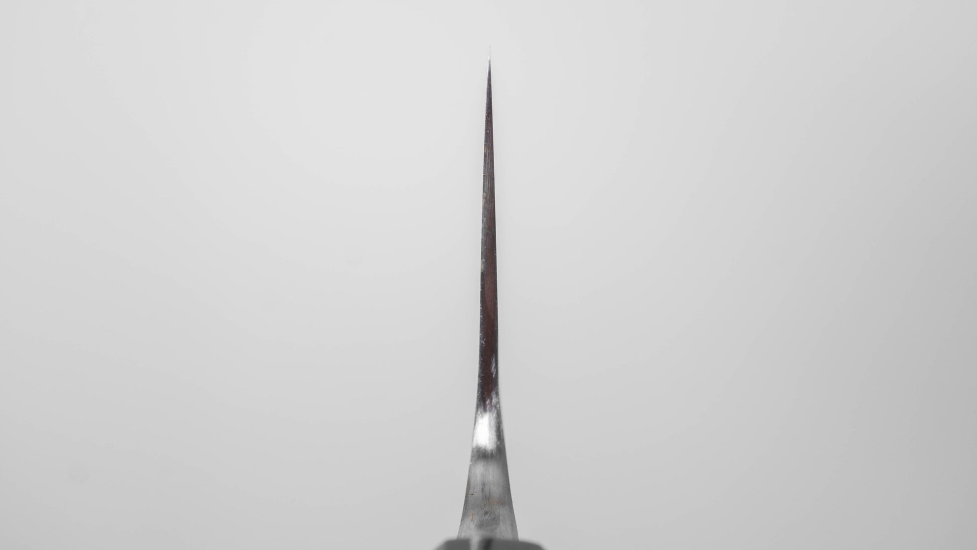 Jiro Tsuchime Wa Gyuto 255mm Taihei Tagayasan Handle (#756)