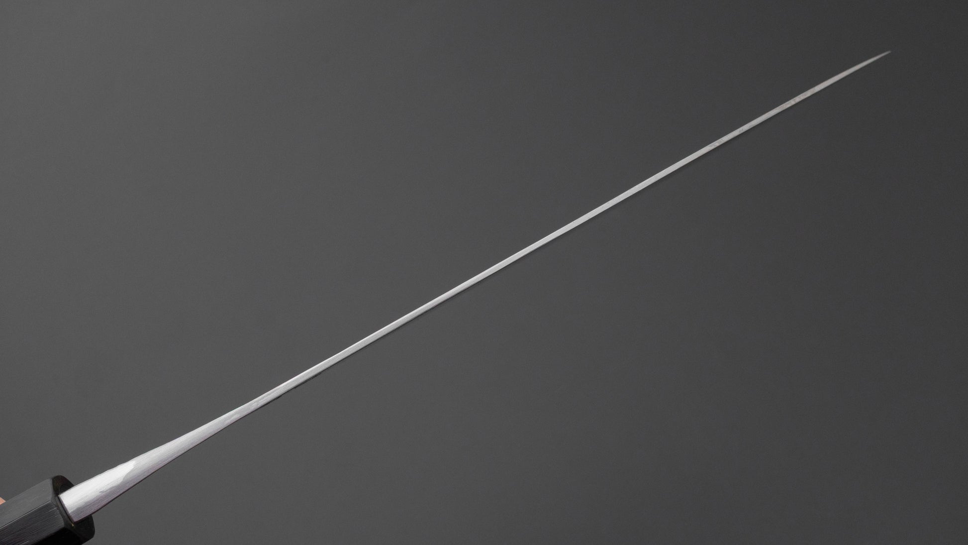 Jiro Tsuchime Wa Gyuto 255mm Taihei Tagayasan Handle (#757)