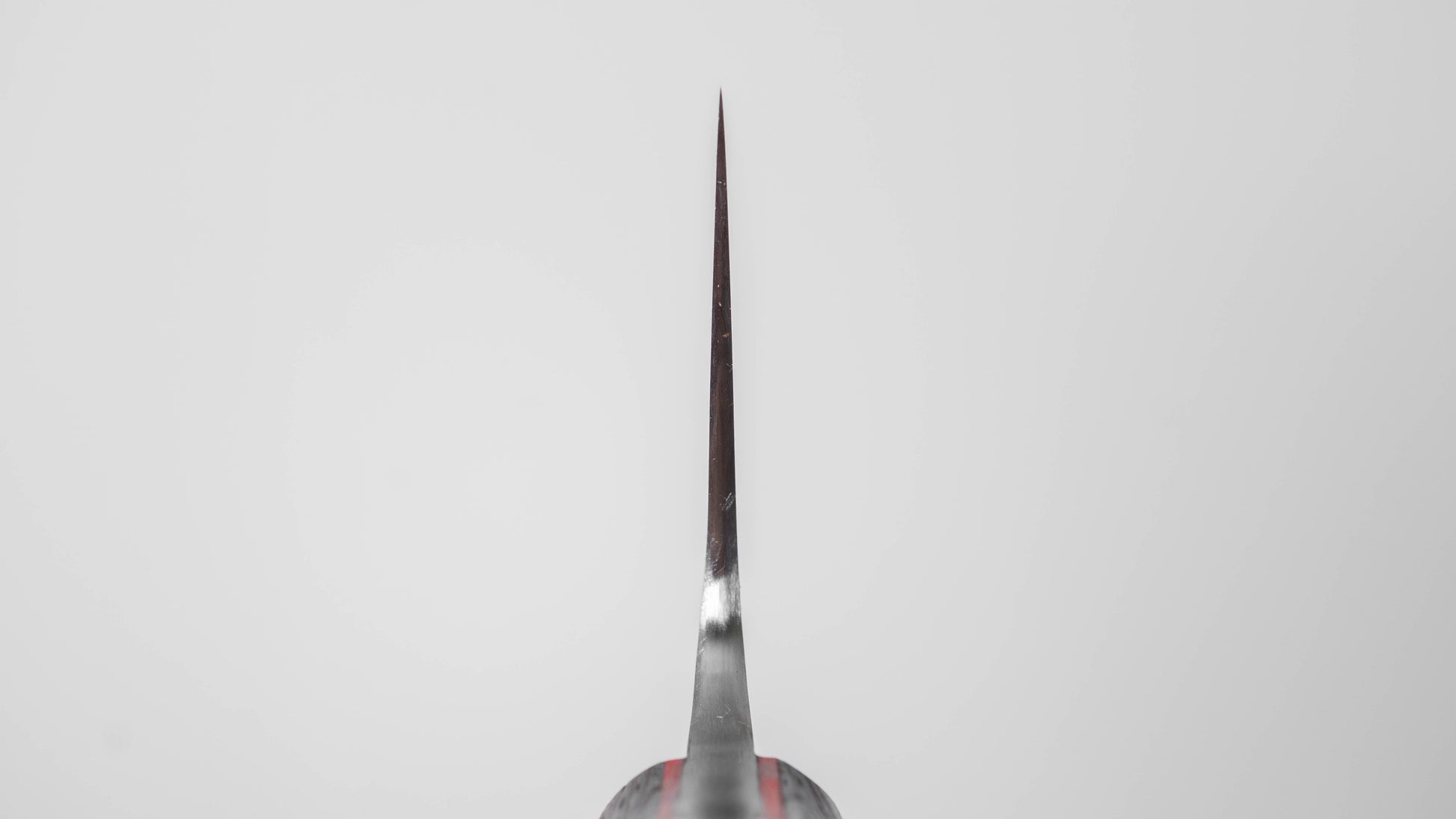 Jiro Tsuchime Yo Gyuto 255mm Tagayasan Handle (#763)