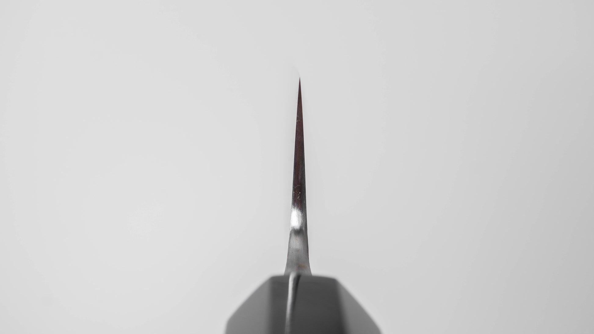 Jiro Tsuchime Wa Sujihiki 270mm Taihei Tagayasan Handle (#767)