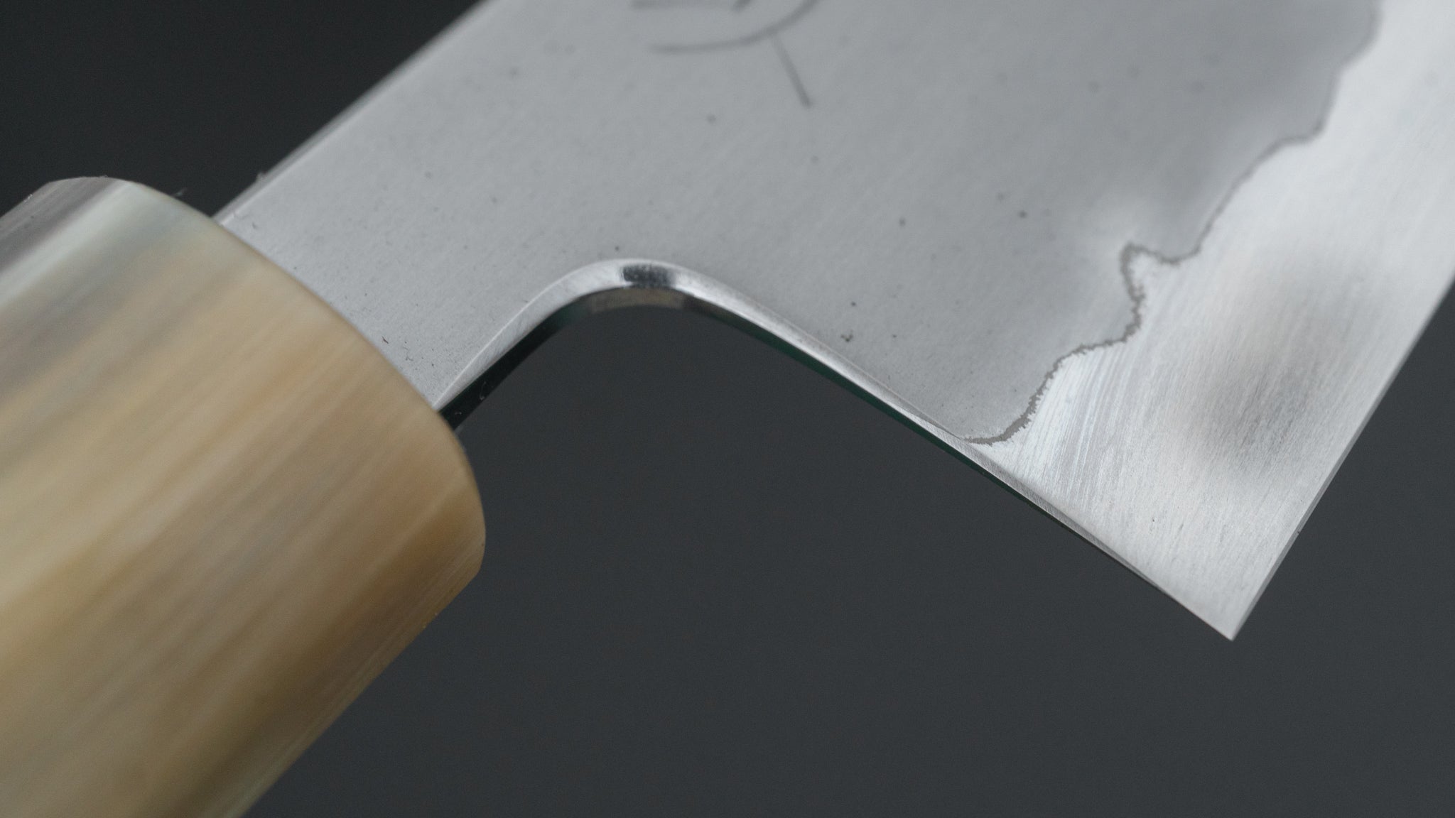 Hitohira Tanaka Izo Blue #1 Stainless Clad Gyuto 210mm Ziricote