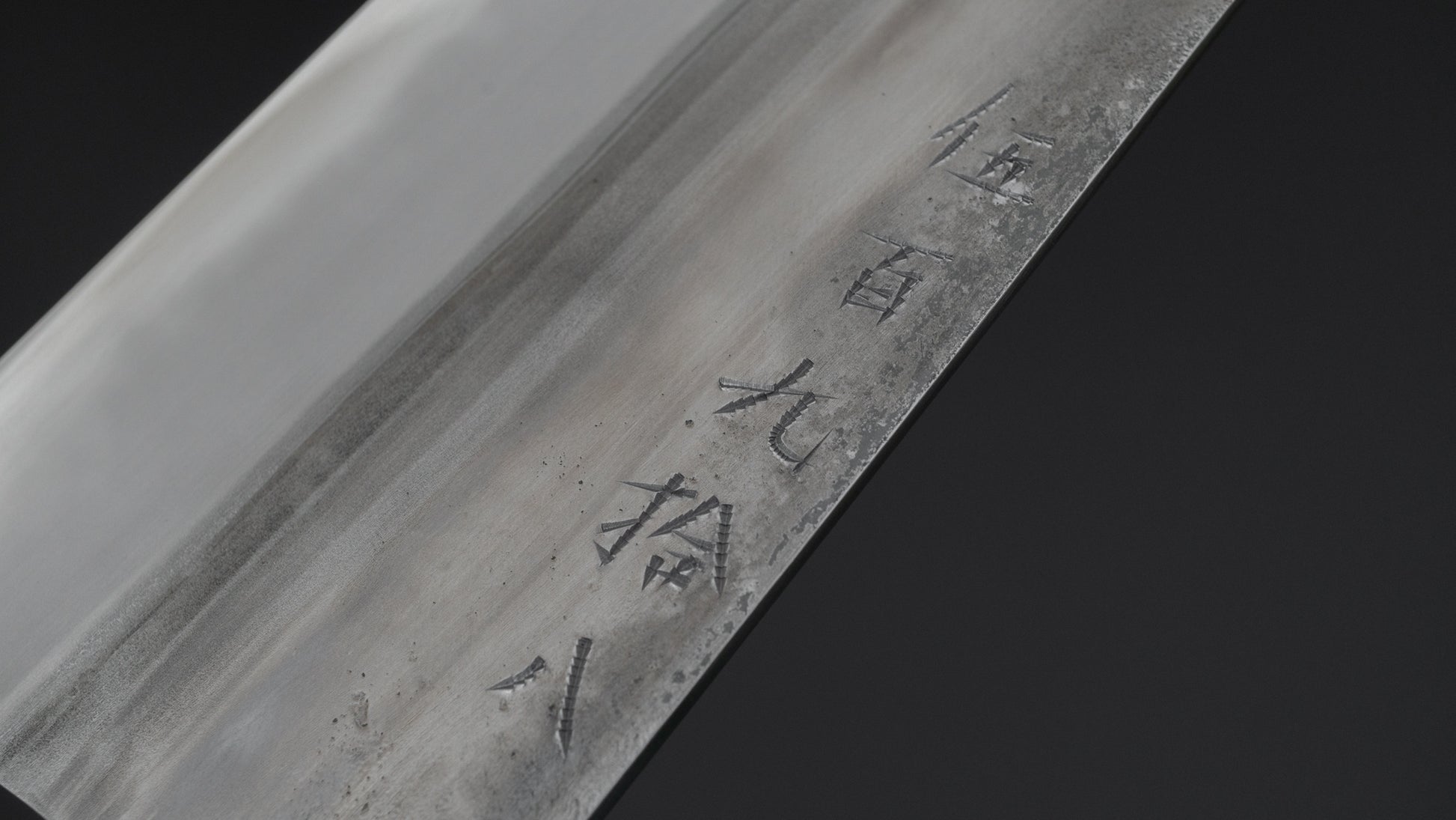 Jiro Tsuchime Wa Gyuto 210mm Taihei Tagayasan Handle (#598) - HITOHIRA