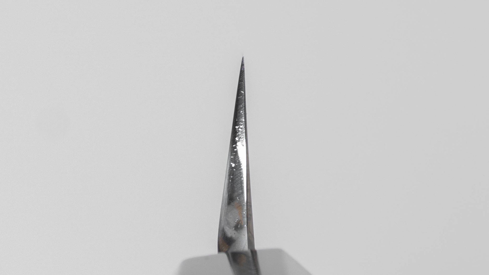 Hitohira Togashi White #1 Tachi Kiritsuke Yanagiba 300mm Ho Wood Handle (Saya)