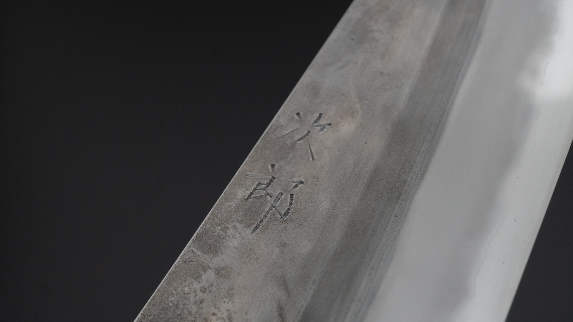 Jiro Tsuchime Wa Gyuto 210mm Taihei Tagayasan Handle (#599) - HITOHIRA