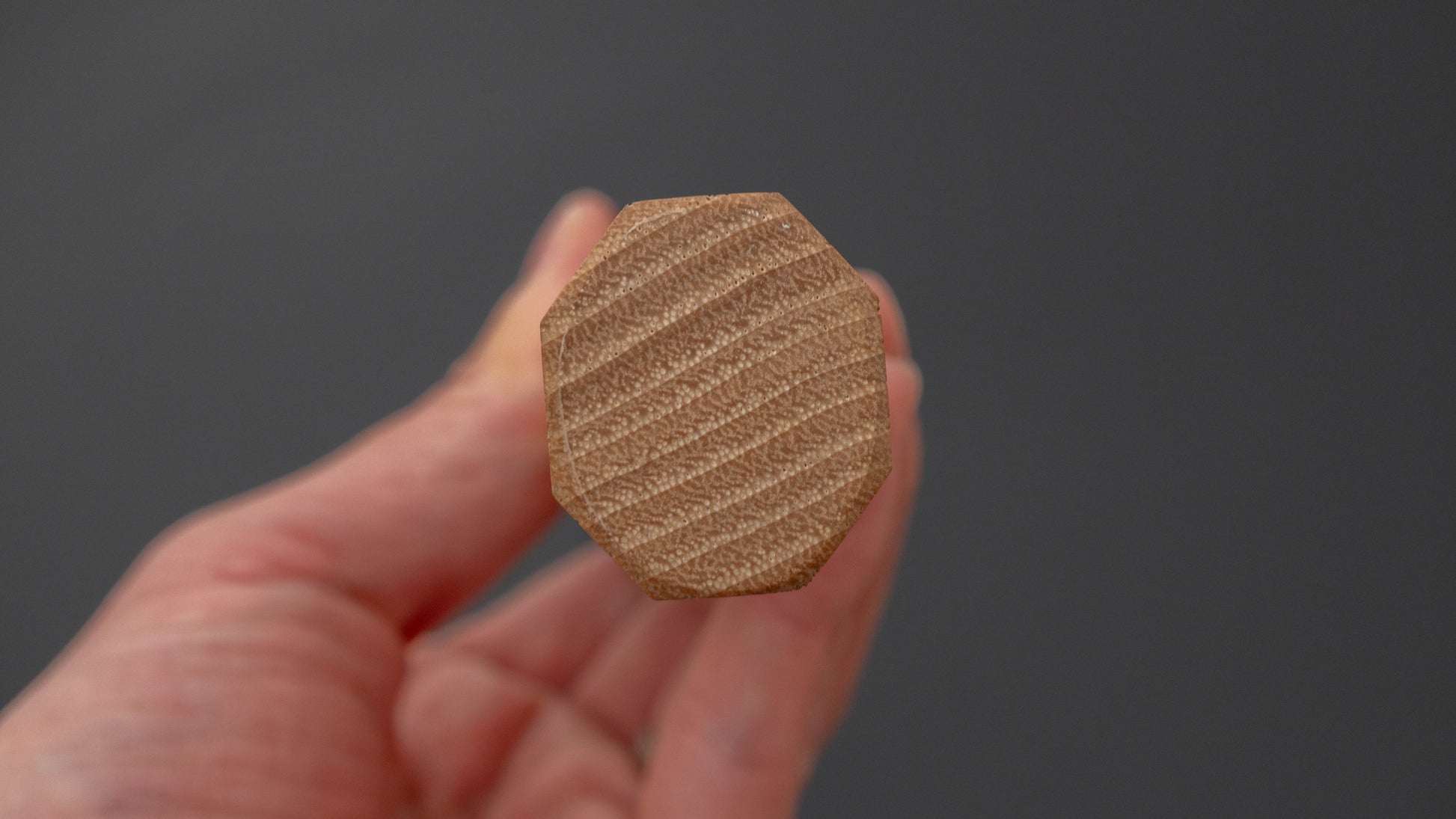 Hitohira Nihei SLD Nashiji Migaki Gyuto 240mm Chestnut Handle