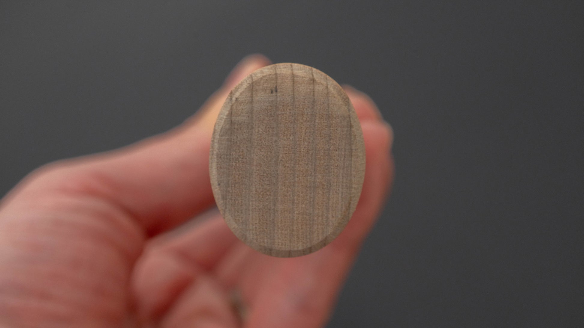 Hitohira Carbon Deba 165mm Ho Wood Handle