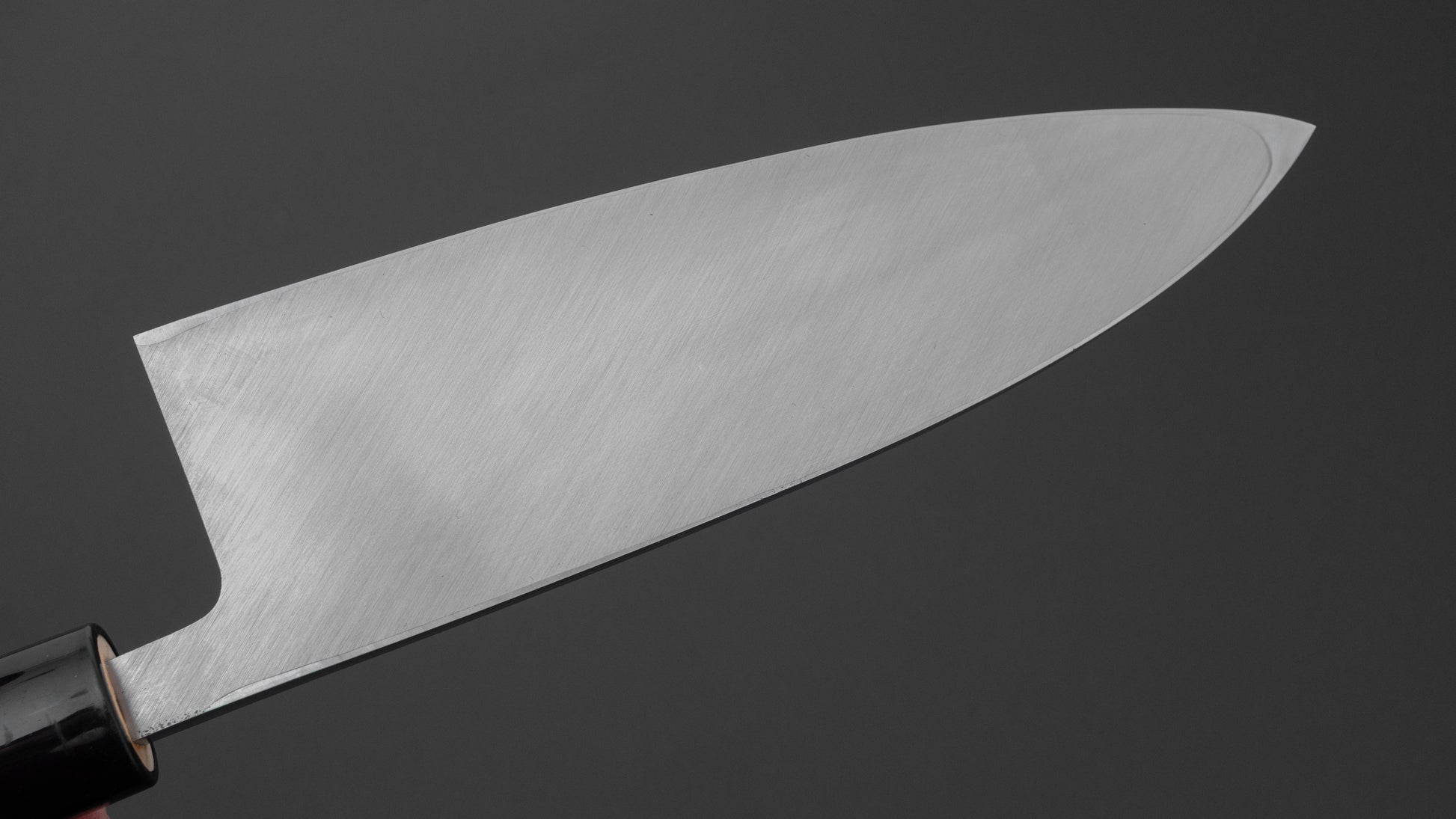 Hitohira Carbon Deba 180mm Ho Wood Handle