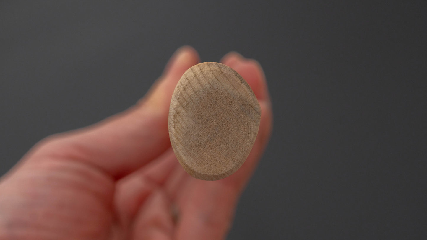 Hitohira Carbon Yanagiba 210mm Ho Wood Handle