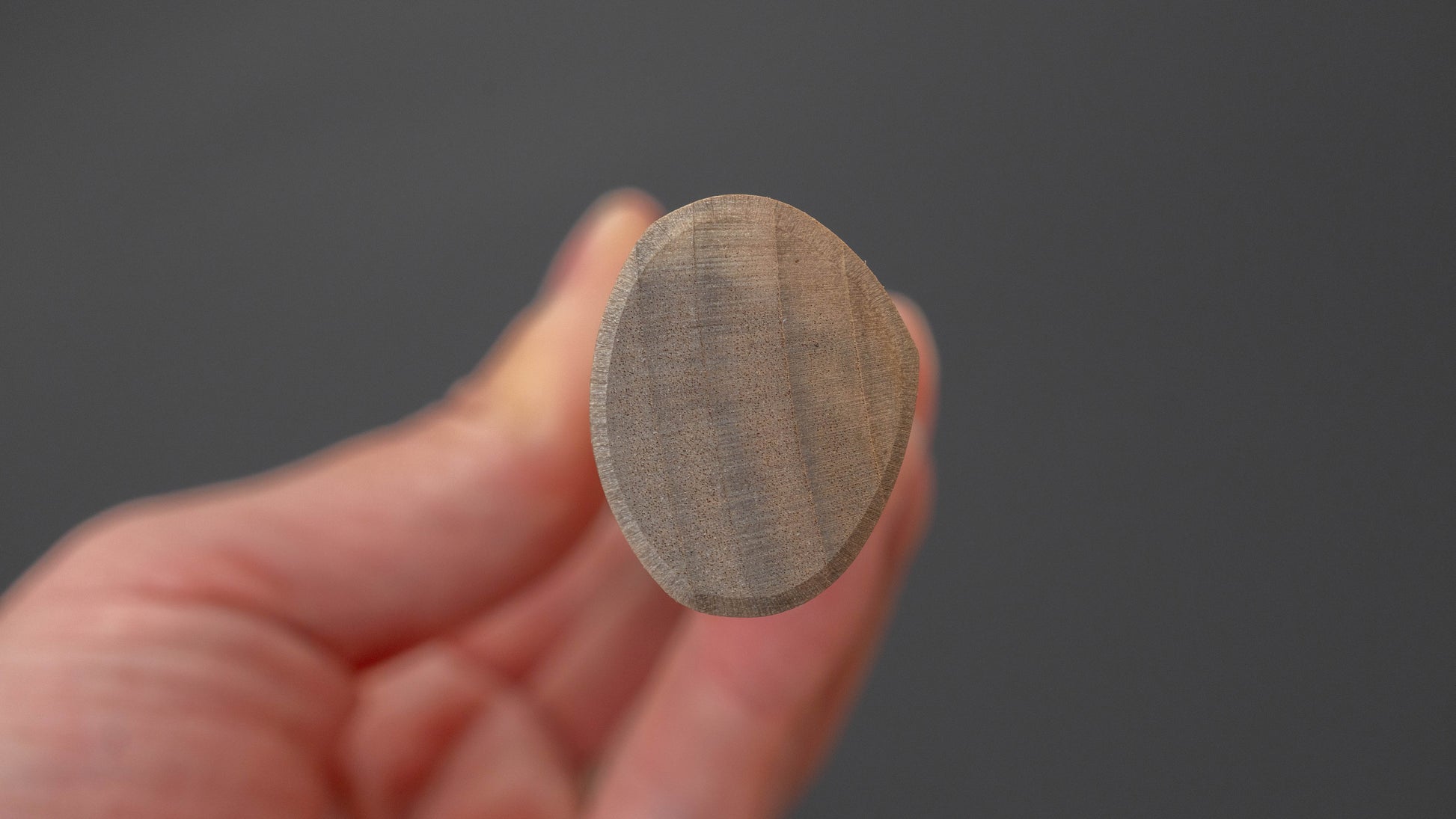 Hitohira Carbon Yanagiba 240mm Ho Wood Handle