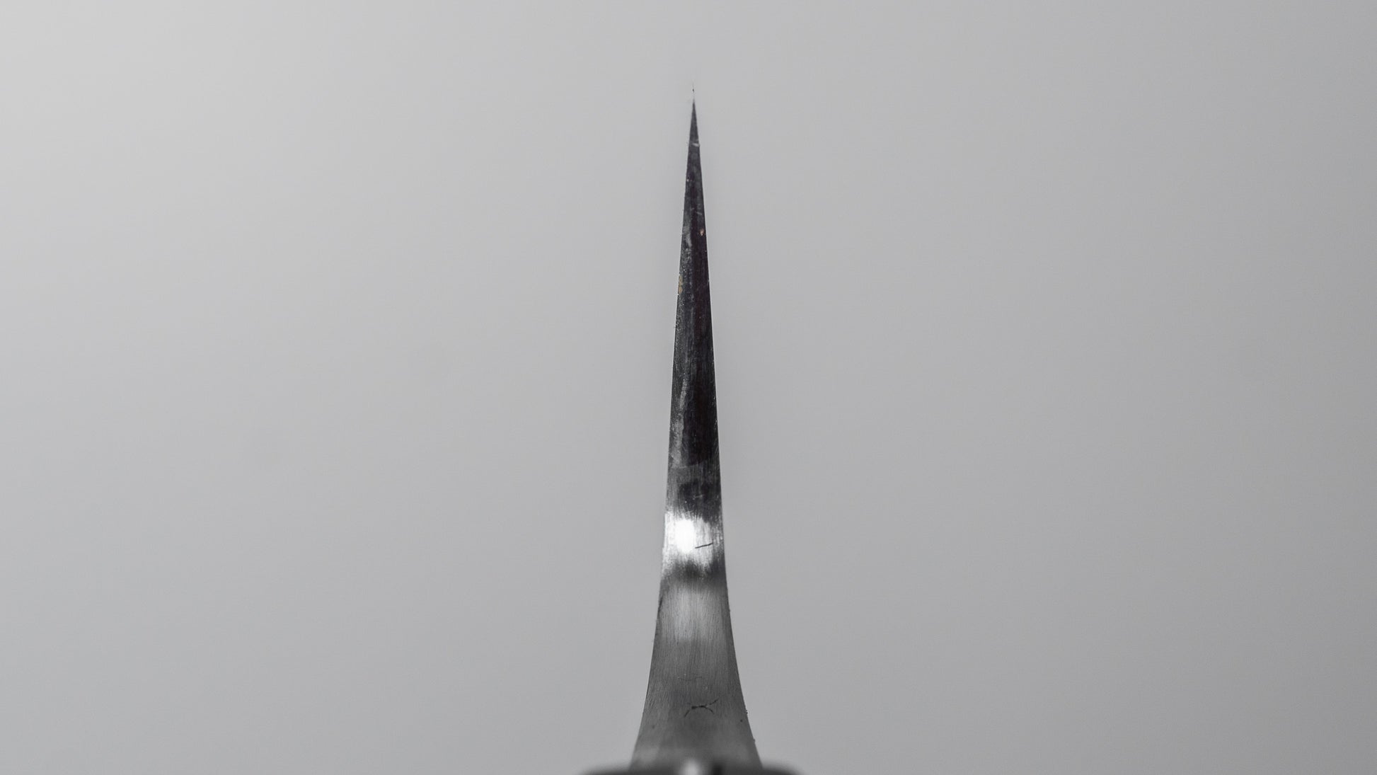 Jiro Tsuchime Wa Sujihiki 270mm Taihei Tagayasan Handle (#773)