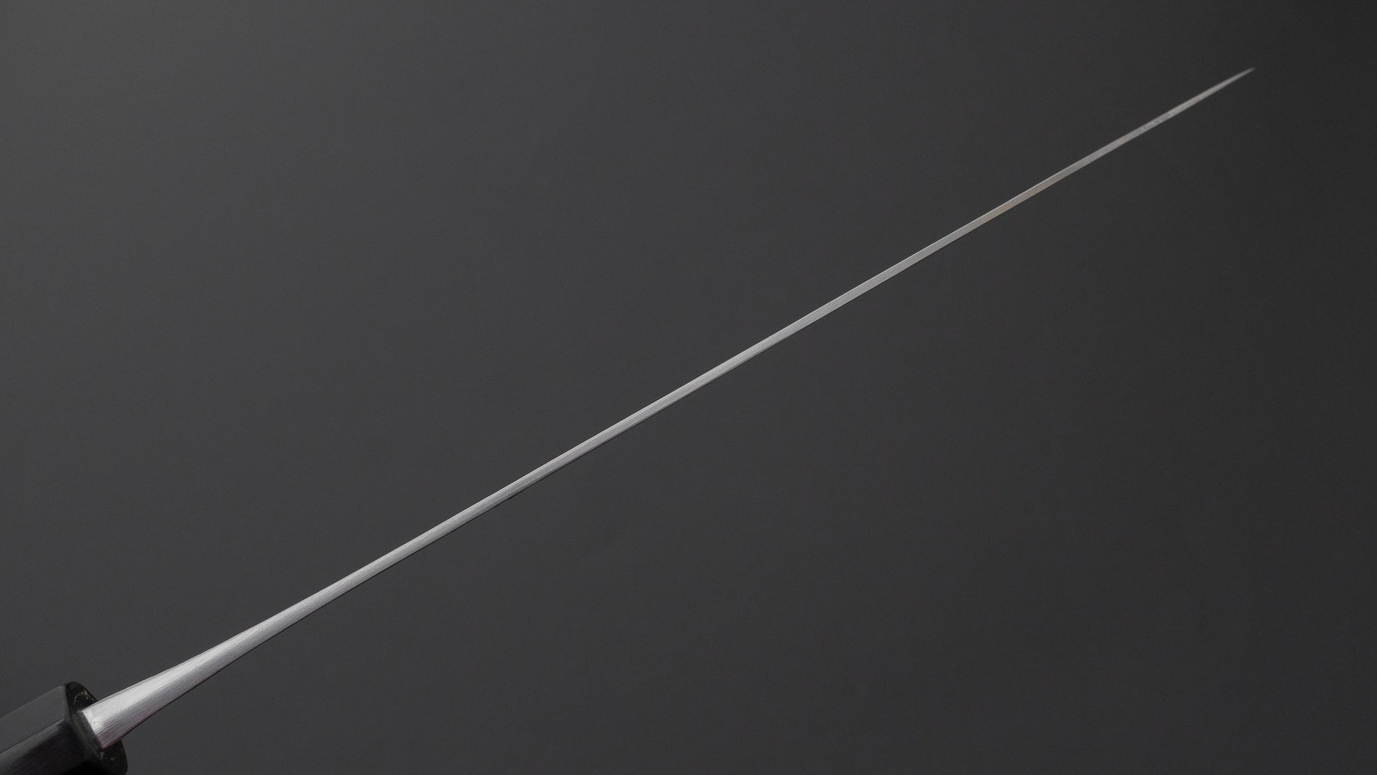 Jiro Tsuchime Wa Gyuto 240mm Taihei Tagayasan Handle (#776)
