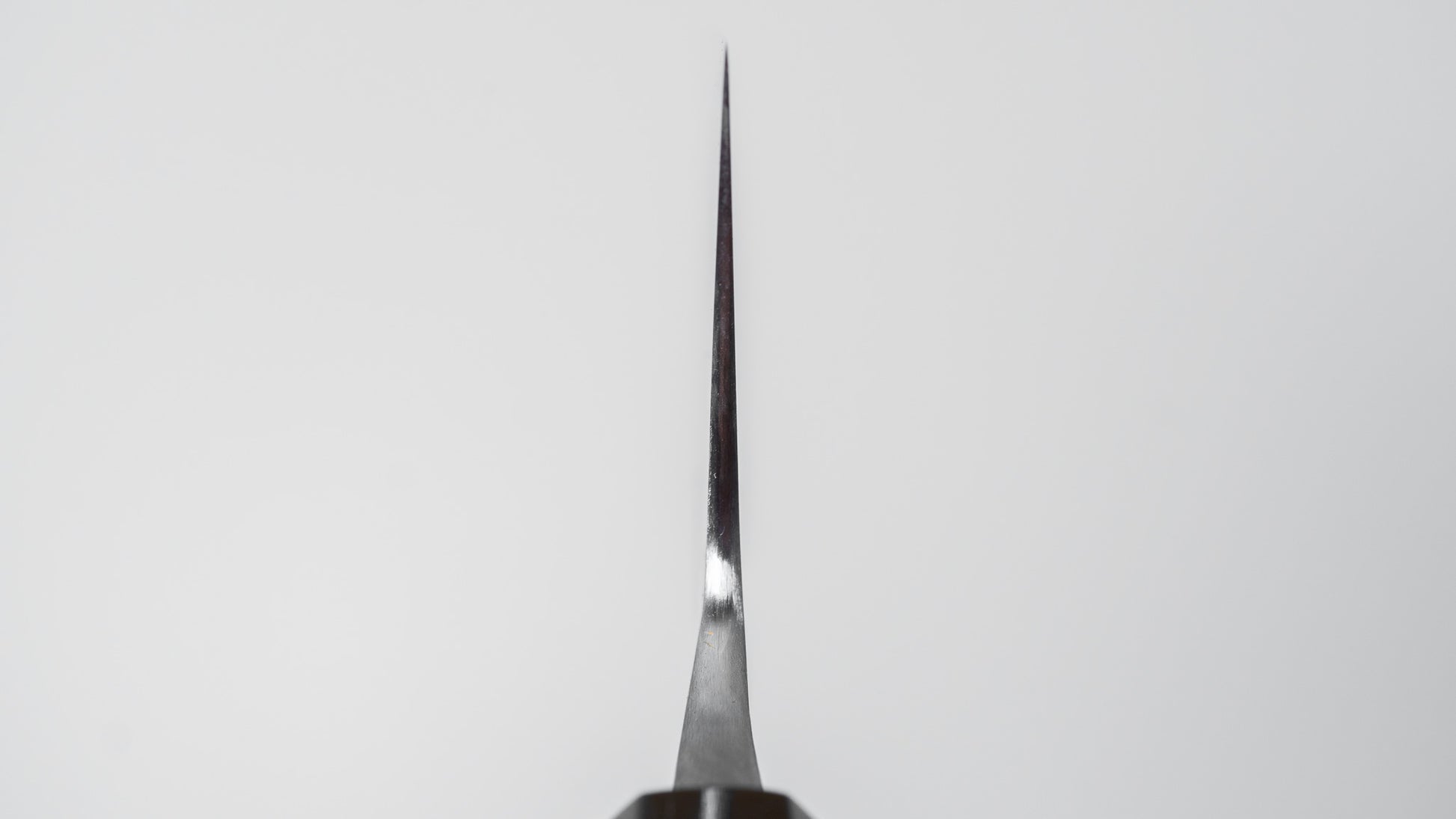 Jiro Tsuchime Wa Gyuto 240mm Taihei Tagayasan Handle (#776)