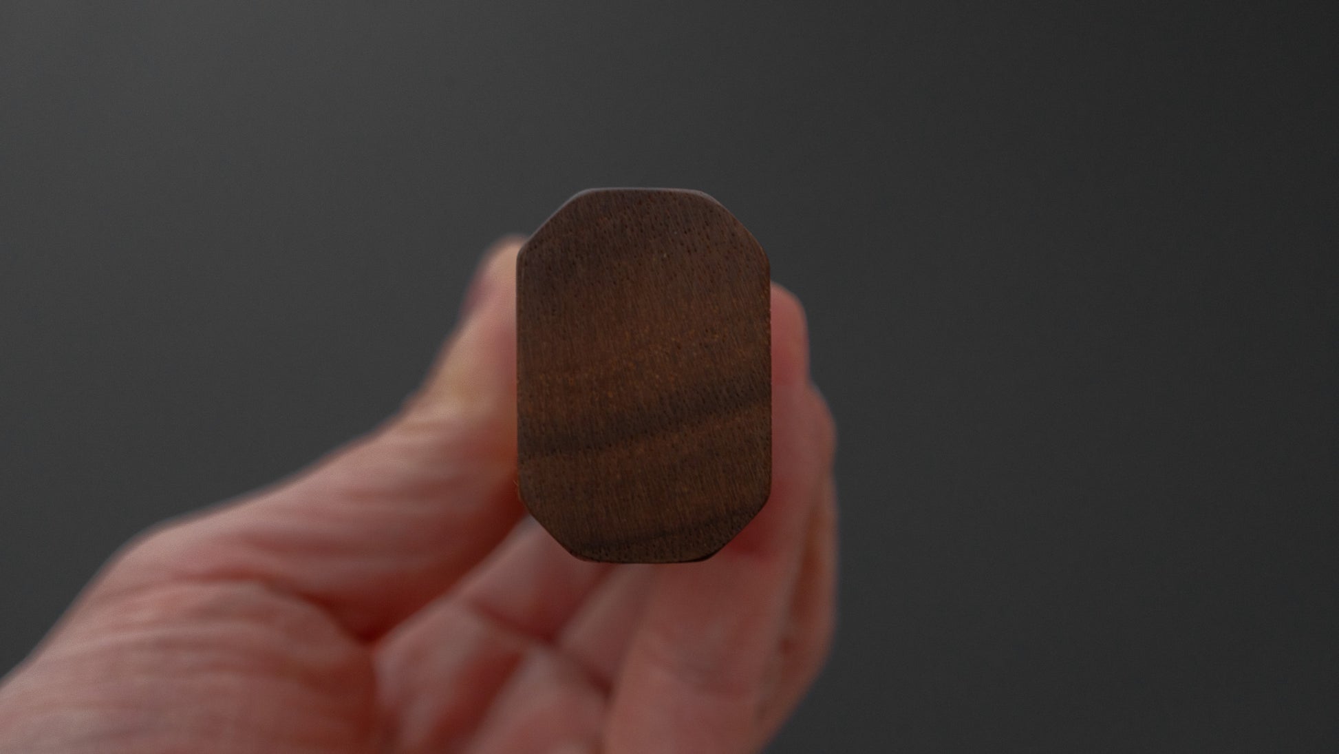 Hitohira TD SLD Tsuchime Sujihiki 270mm Walnut Handle