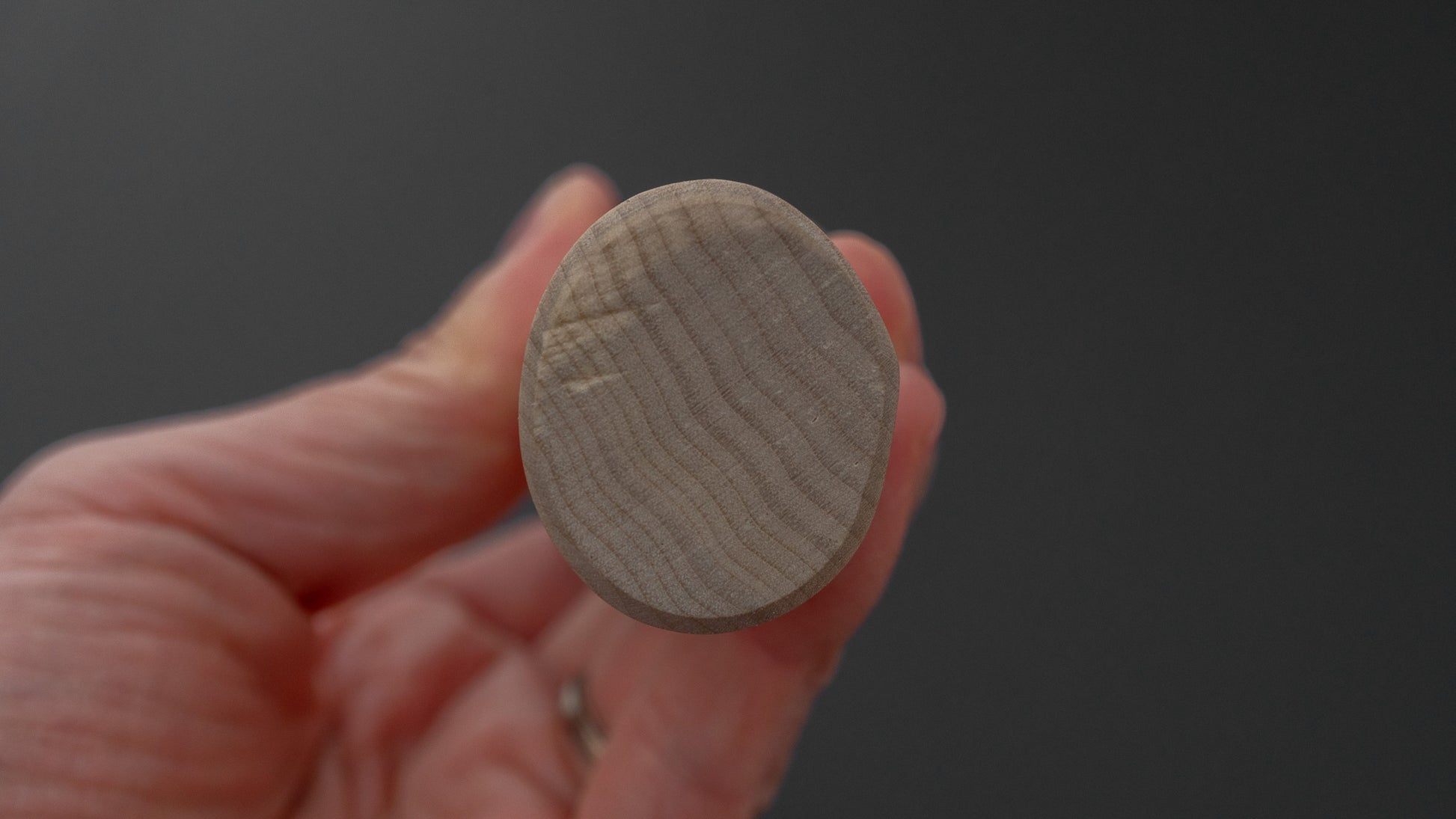 Hitohira Togashi White #2 Usuba 210mm Ho Wood Handle (D-Shape/ Saya)