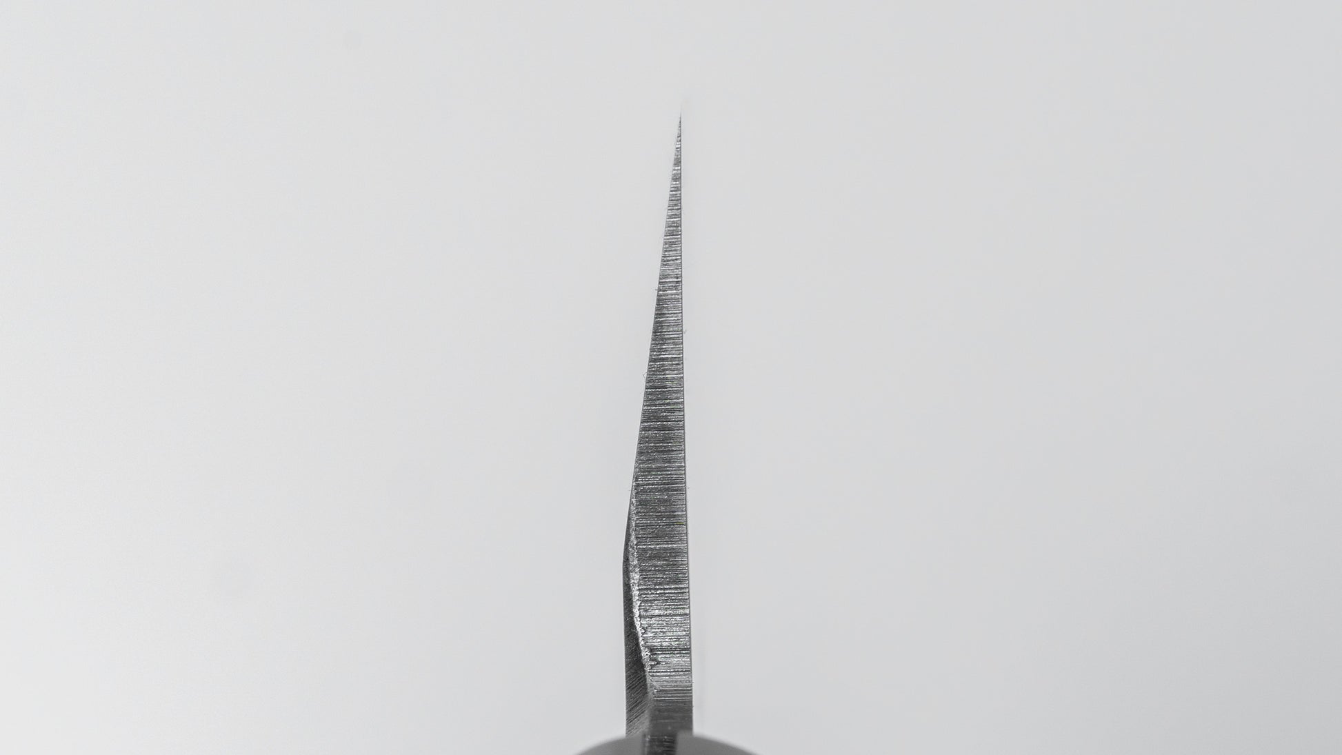 Hitohira Togashi White #2 Usuba 225mm Ho Wood Handle (D-Shape/ Saya)