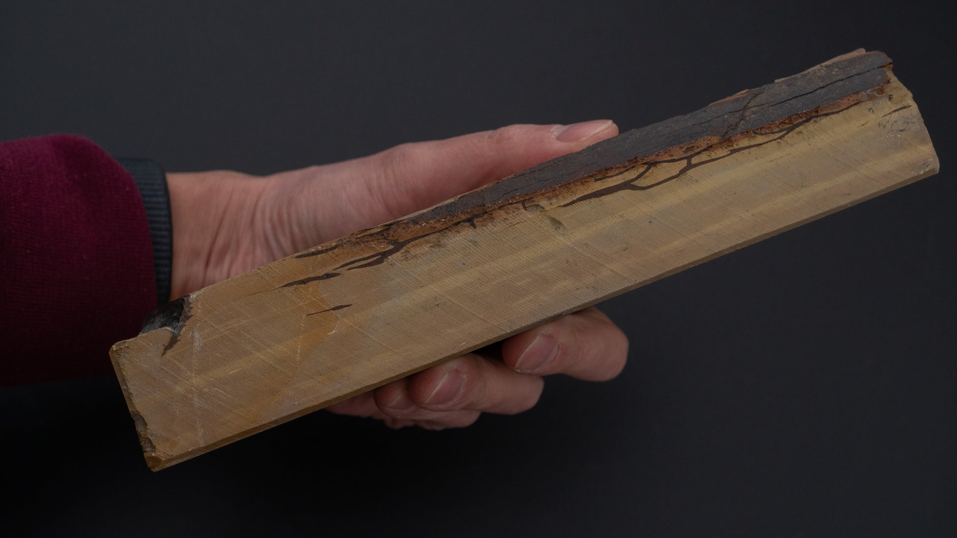Hitohira Picked Okunomon Natural Stone (No.0079)