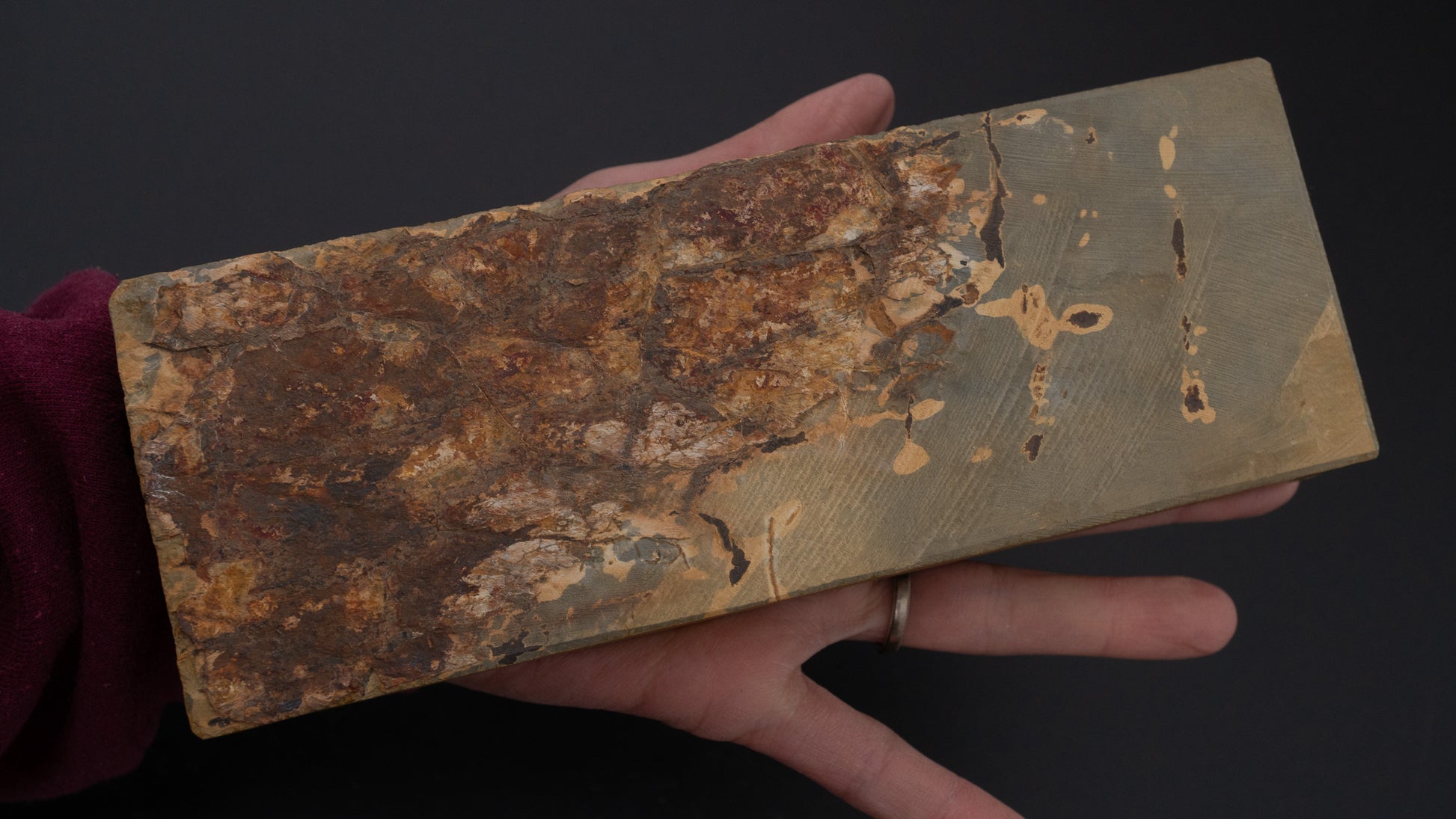Hitohira Picked Shobudani Natural Stone Type 30 (No.0091)