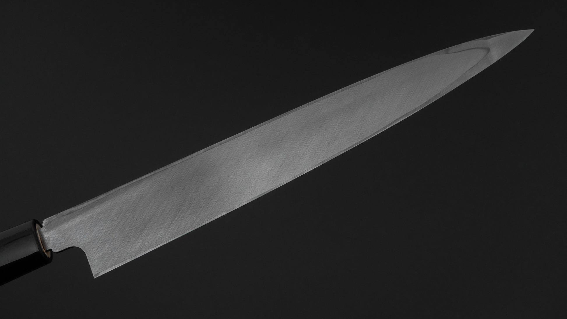 Hitohira Carbon Left-Handed Yanagiba 210mm Ho Wood Handle