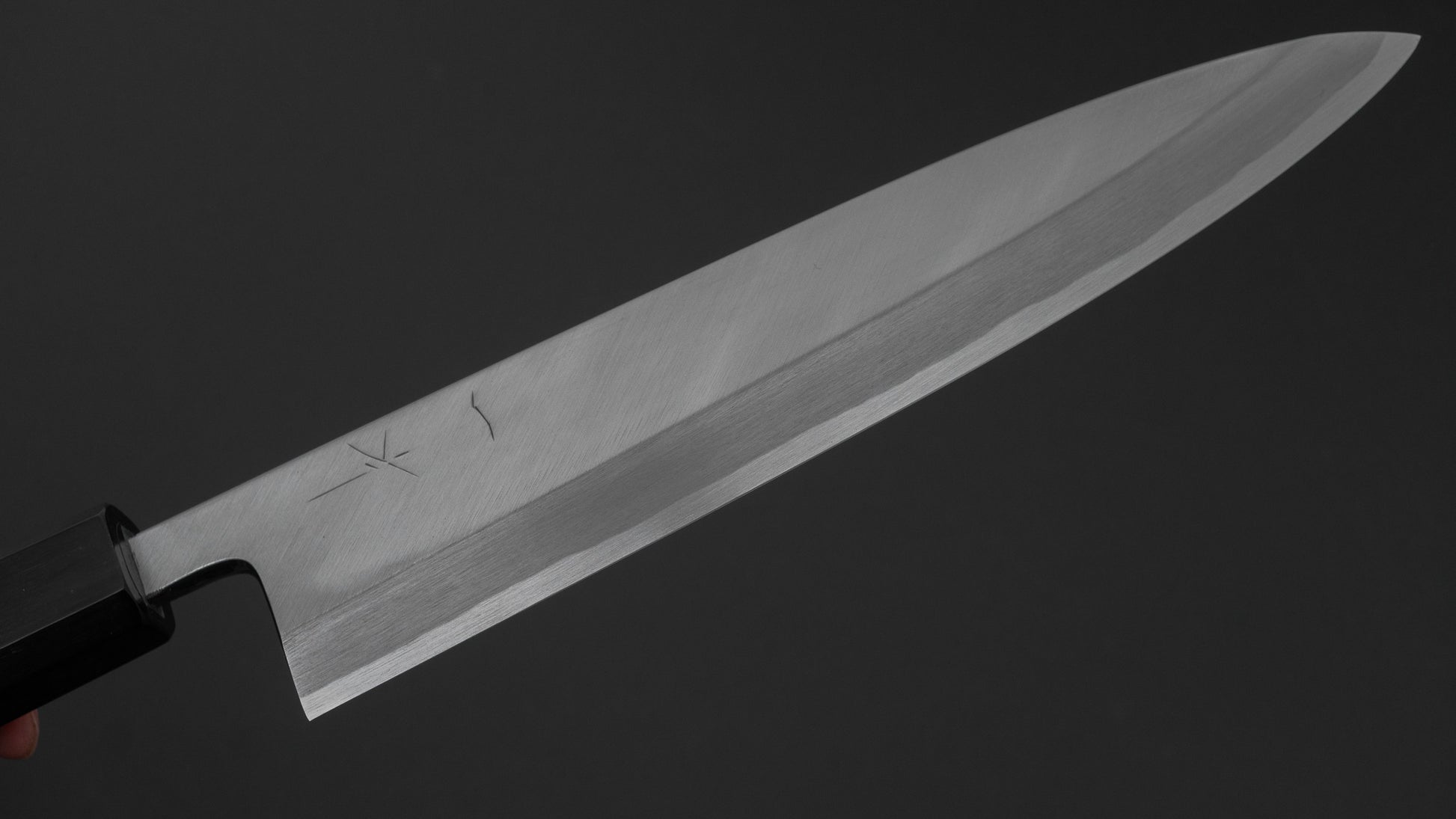 Hitohira Kikuchiyo Manzo Blue #2 Mioroshi Deba 210mm Ebony Handle (Saya)