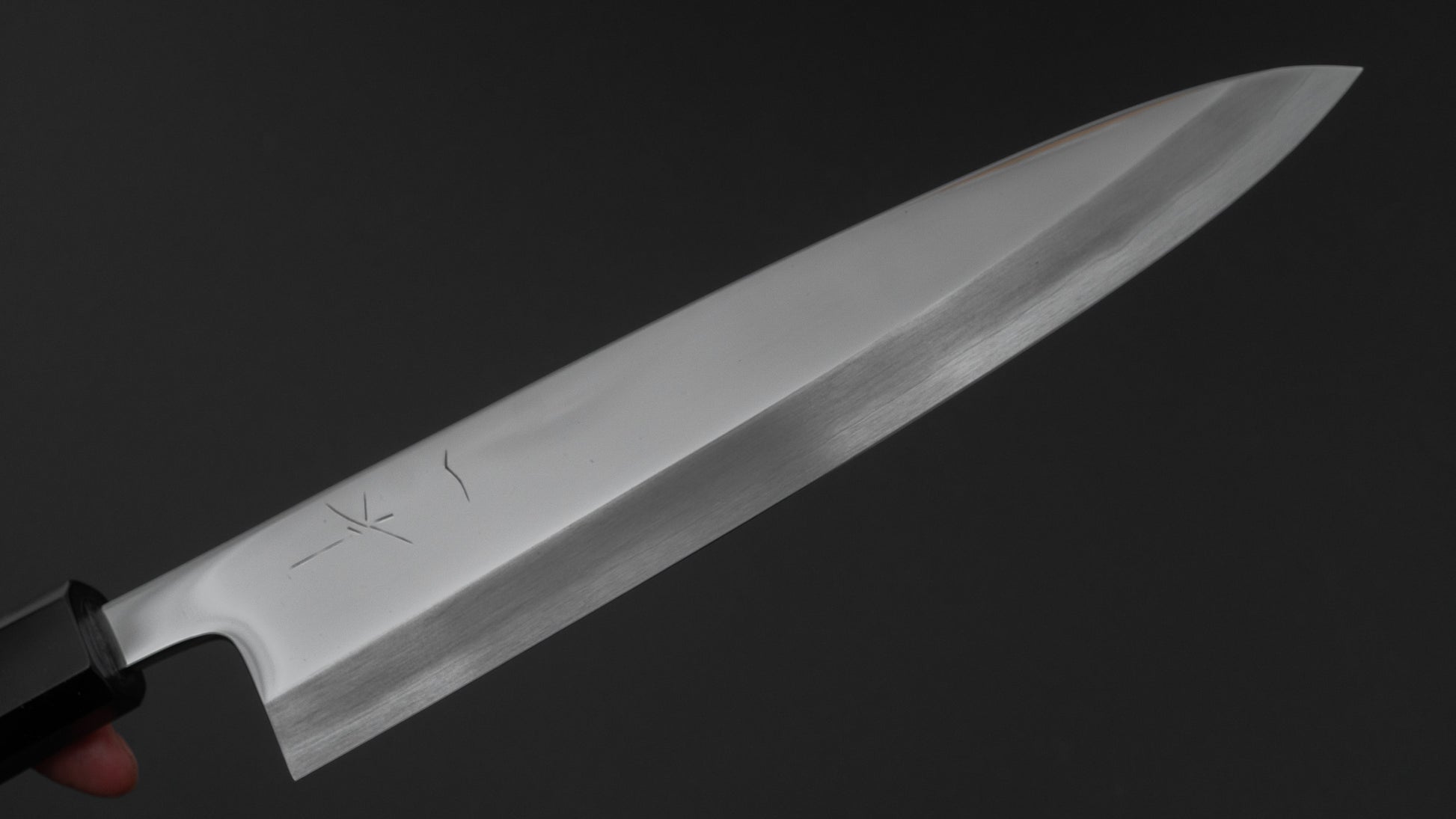 Hitohira Kikuchiyo Mosuke Silver #3 Mirror Polished Mioroshi Deba 210mm Ebony Handle (Saya)