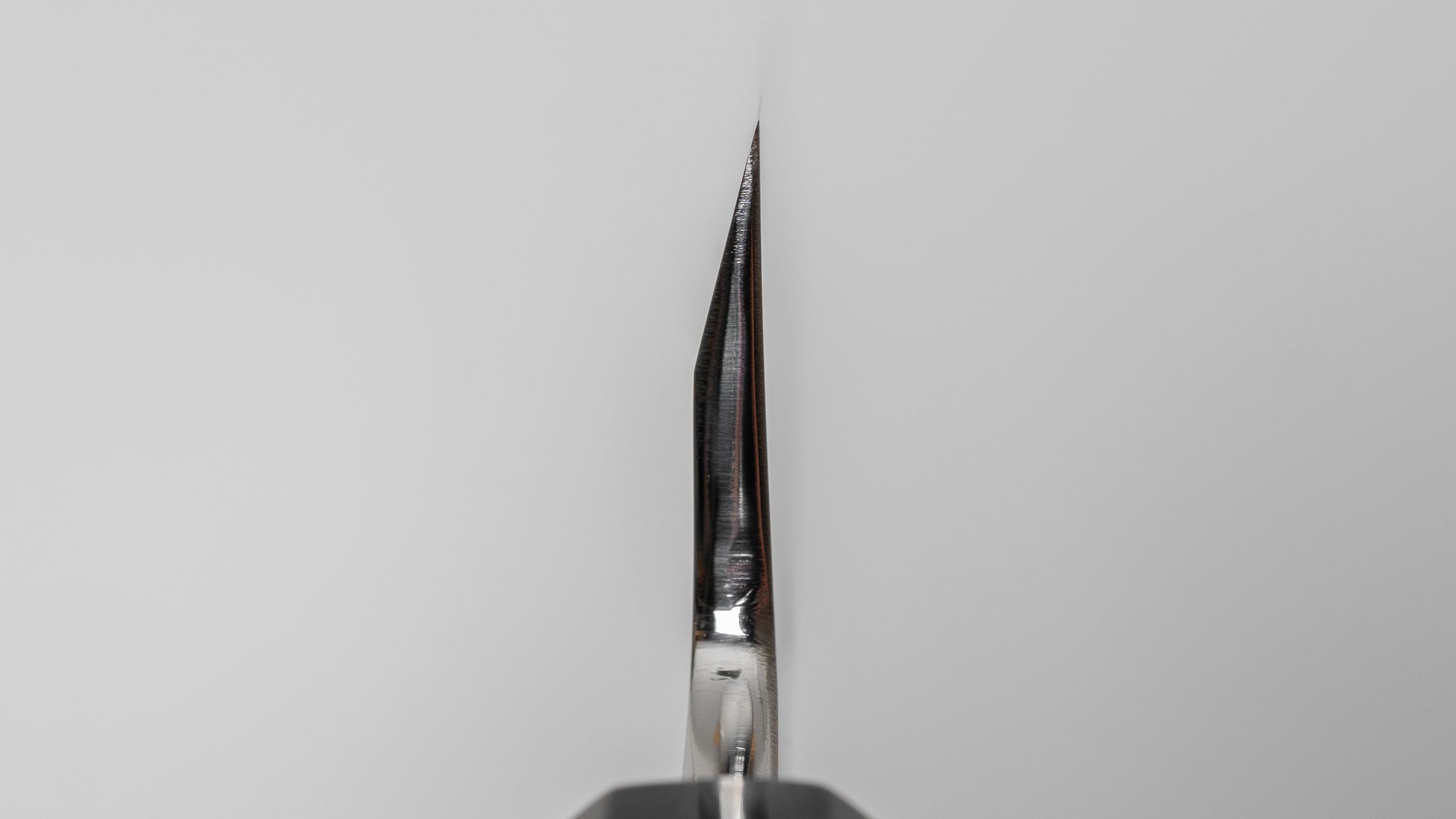 Hitohira Kikuchiyo Mosuke Silver #3 Mirror Polished Mioroshi Deba 210mm Ebony Handle (Saya)